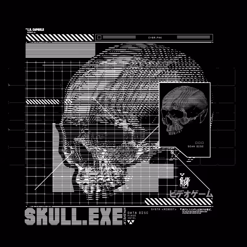 H74_006//SKULL_EXE