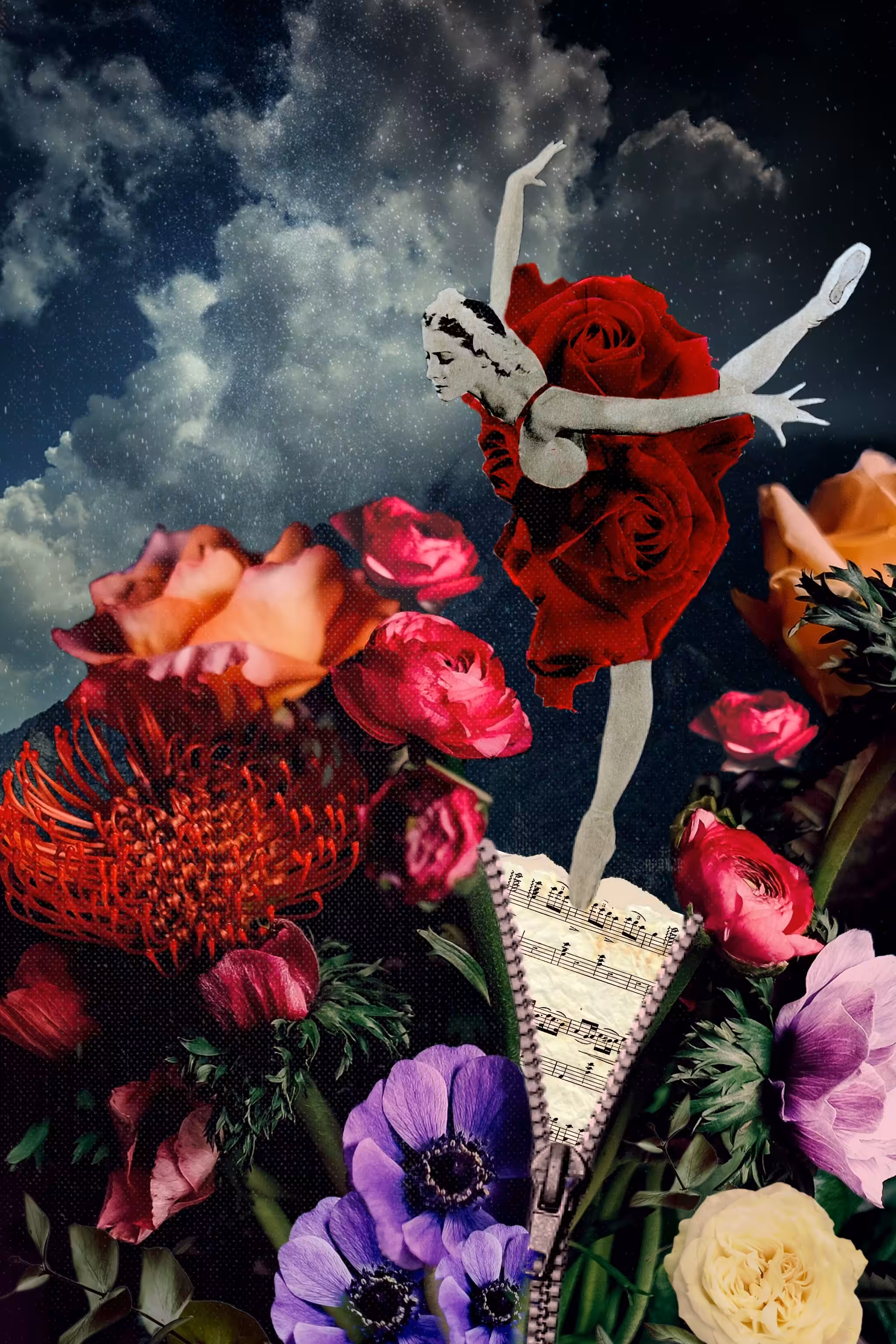 The Hummingbird's Ballet