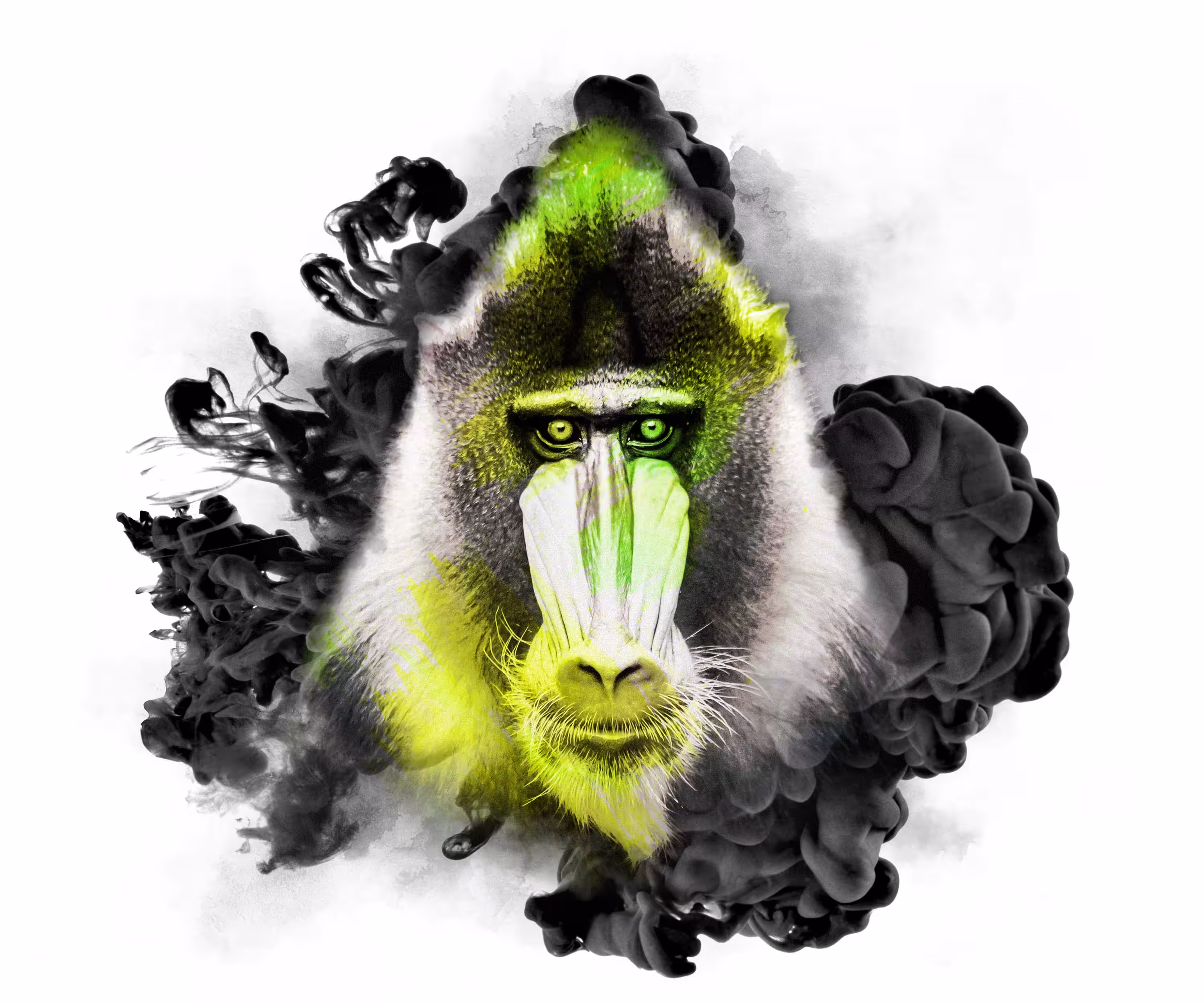 The Animal Kingdom Collection: VENOM ACID - MANDRILL