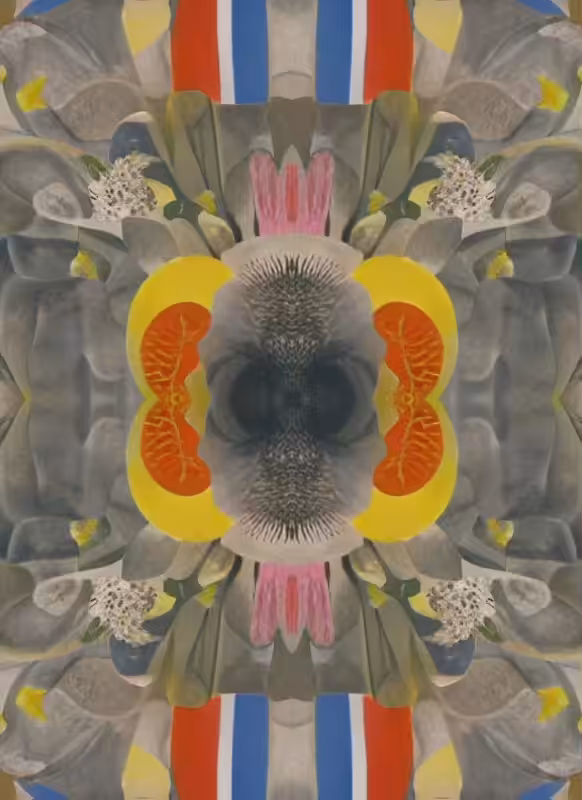 Mirror Matter