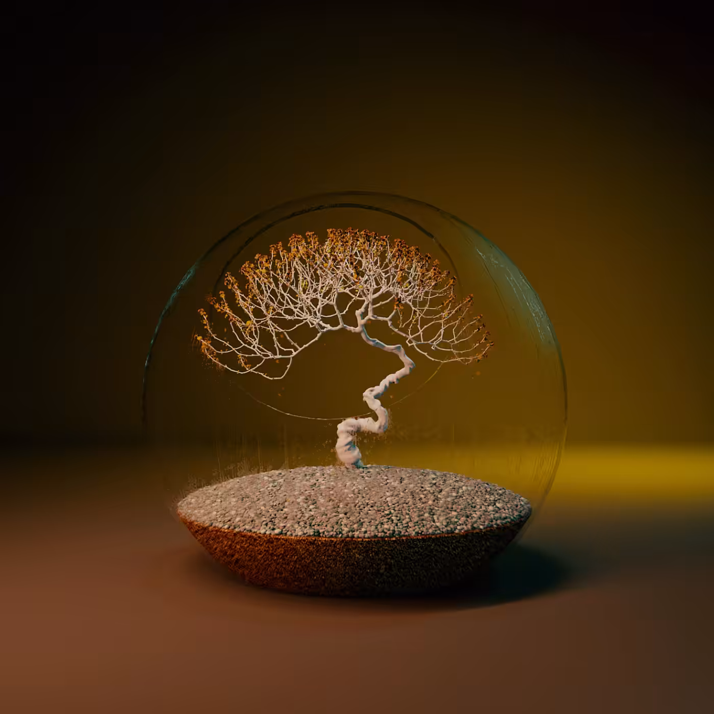 Terrarium #03