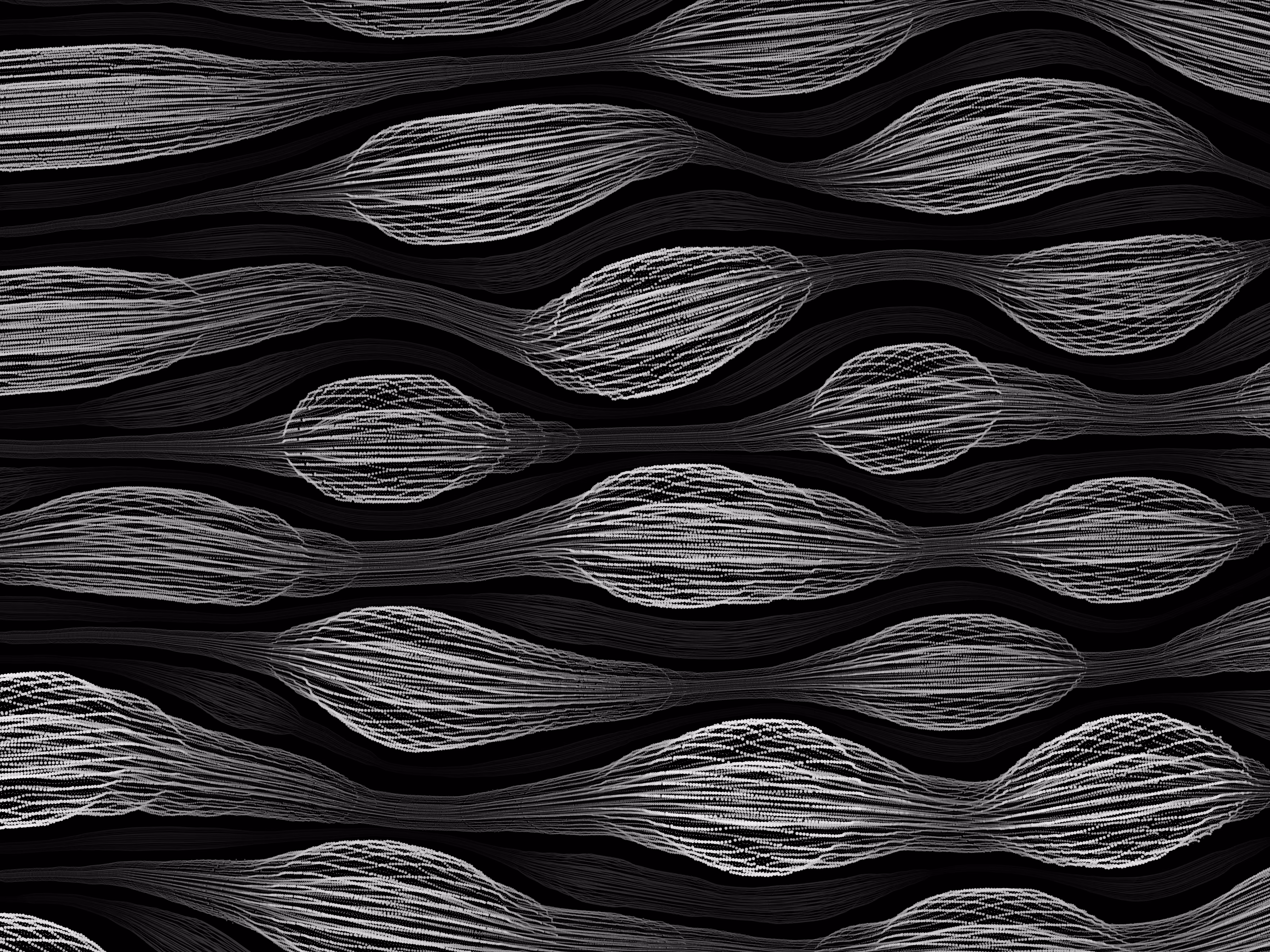 DIFFERENCE AND REPETITION > A CABINET OF CURIOSITIES #1