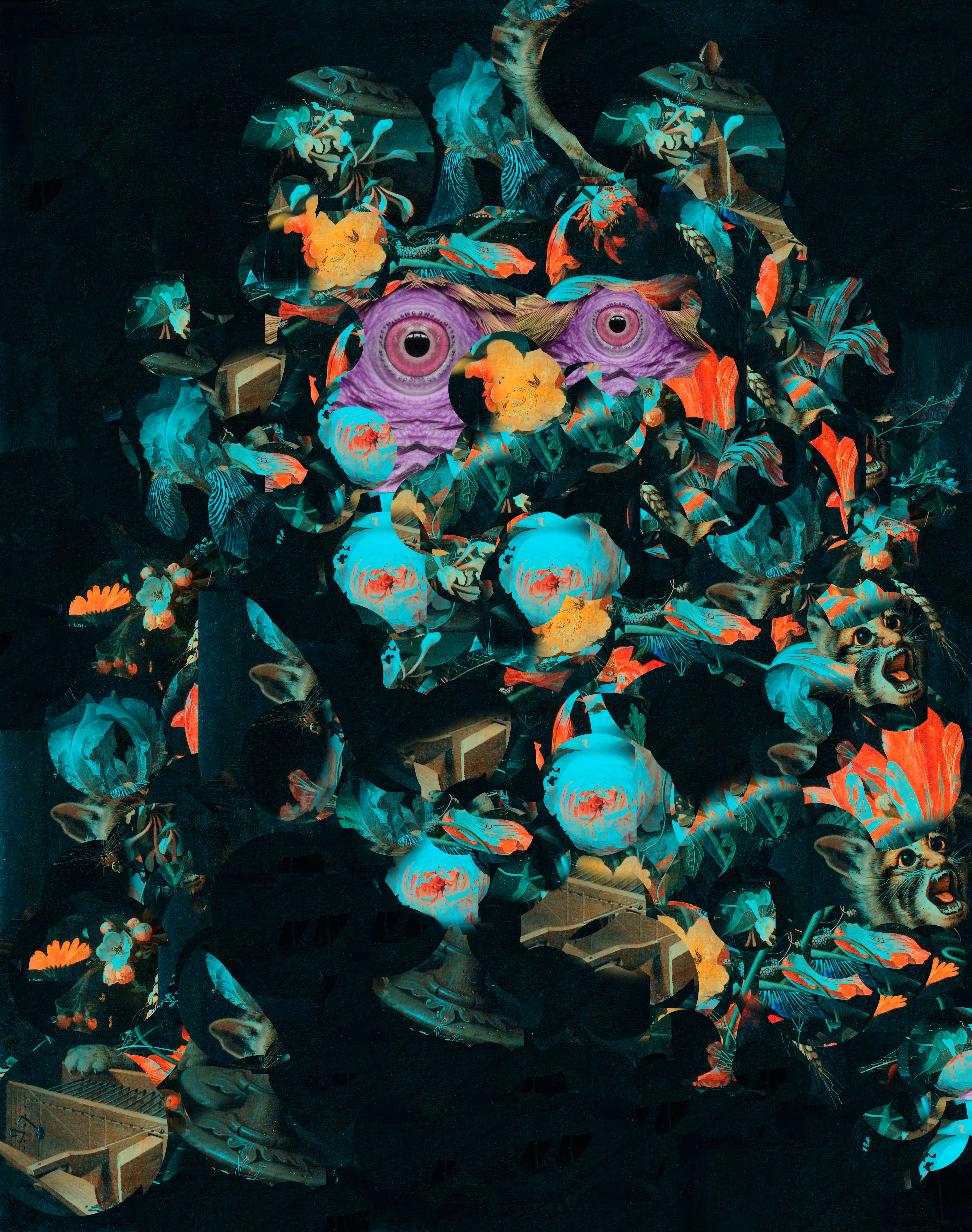 𝔅𝔯𝔬𝔱𝔥𝔢𝔯 𝔉𝔩𝔬𝔴𝔢𝔯
