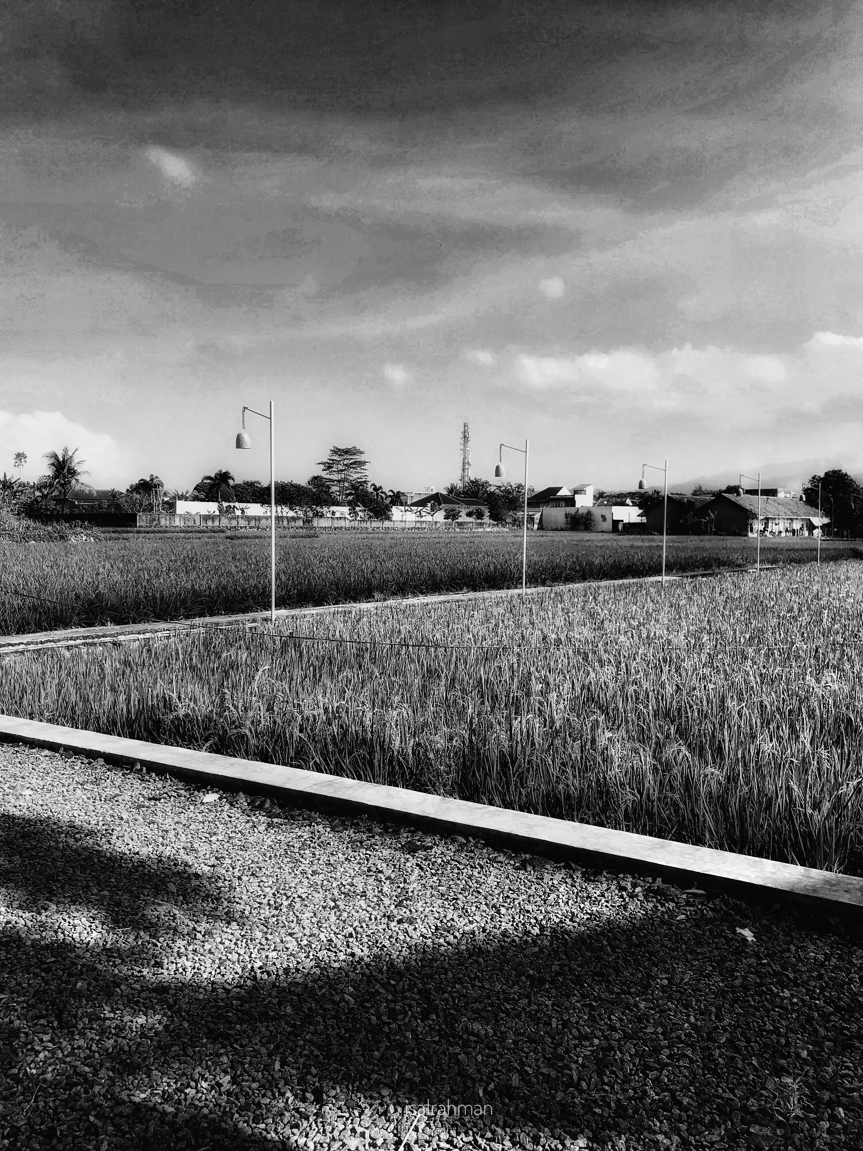The drama of the scenery in the morning uses shades of black and white