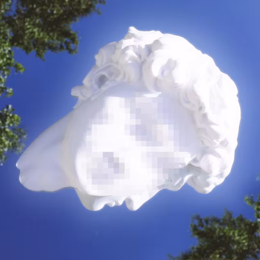 Facial Recognition