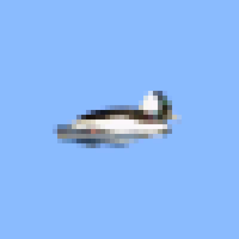 PixlBird #032