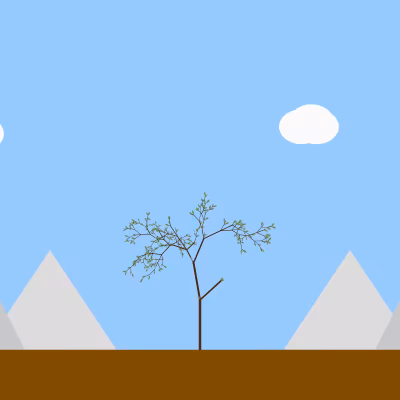 From seedling to tree #9