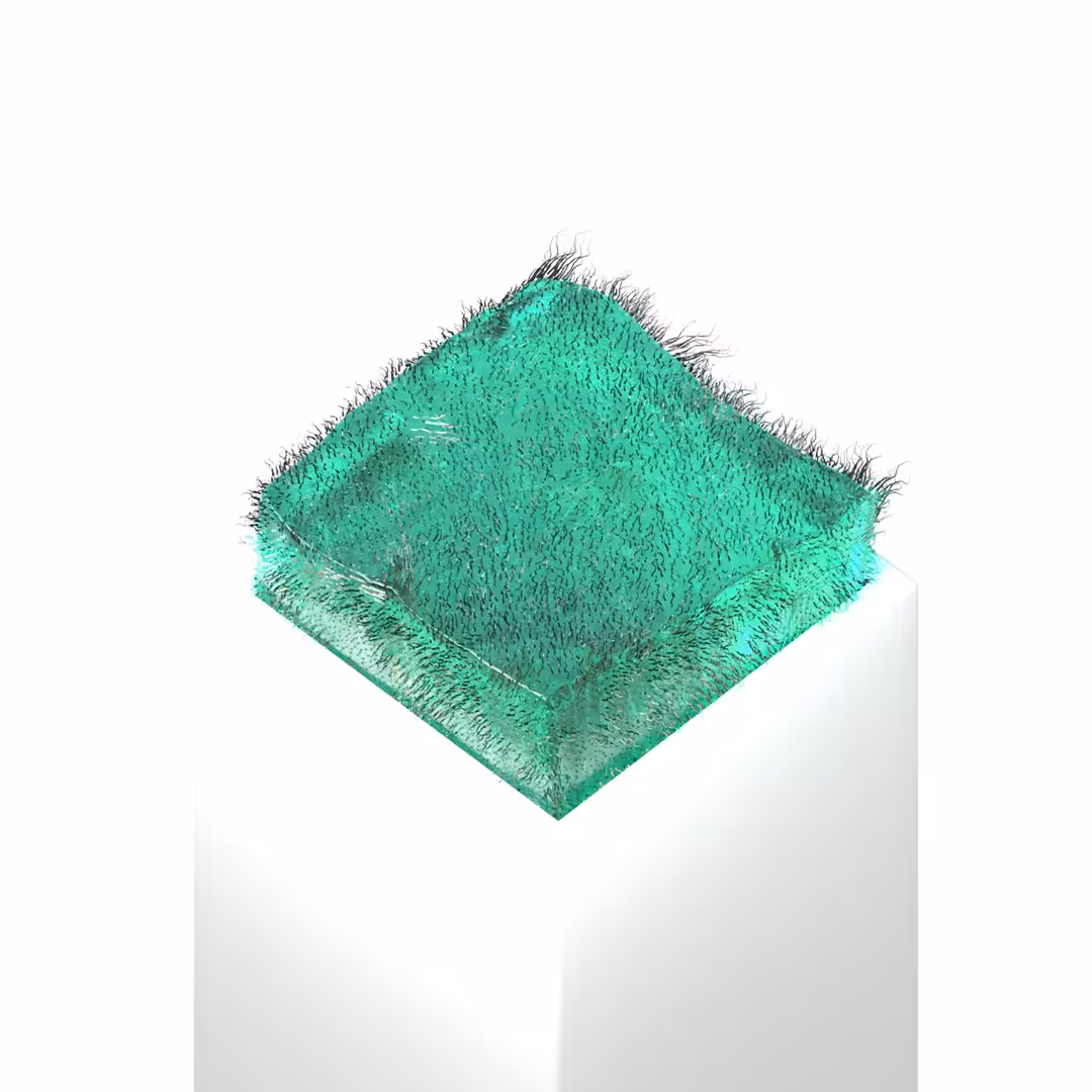 Cheese oceanic