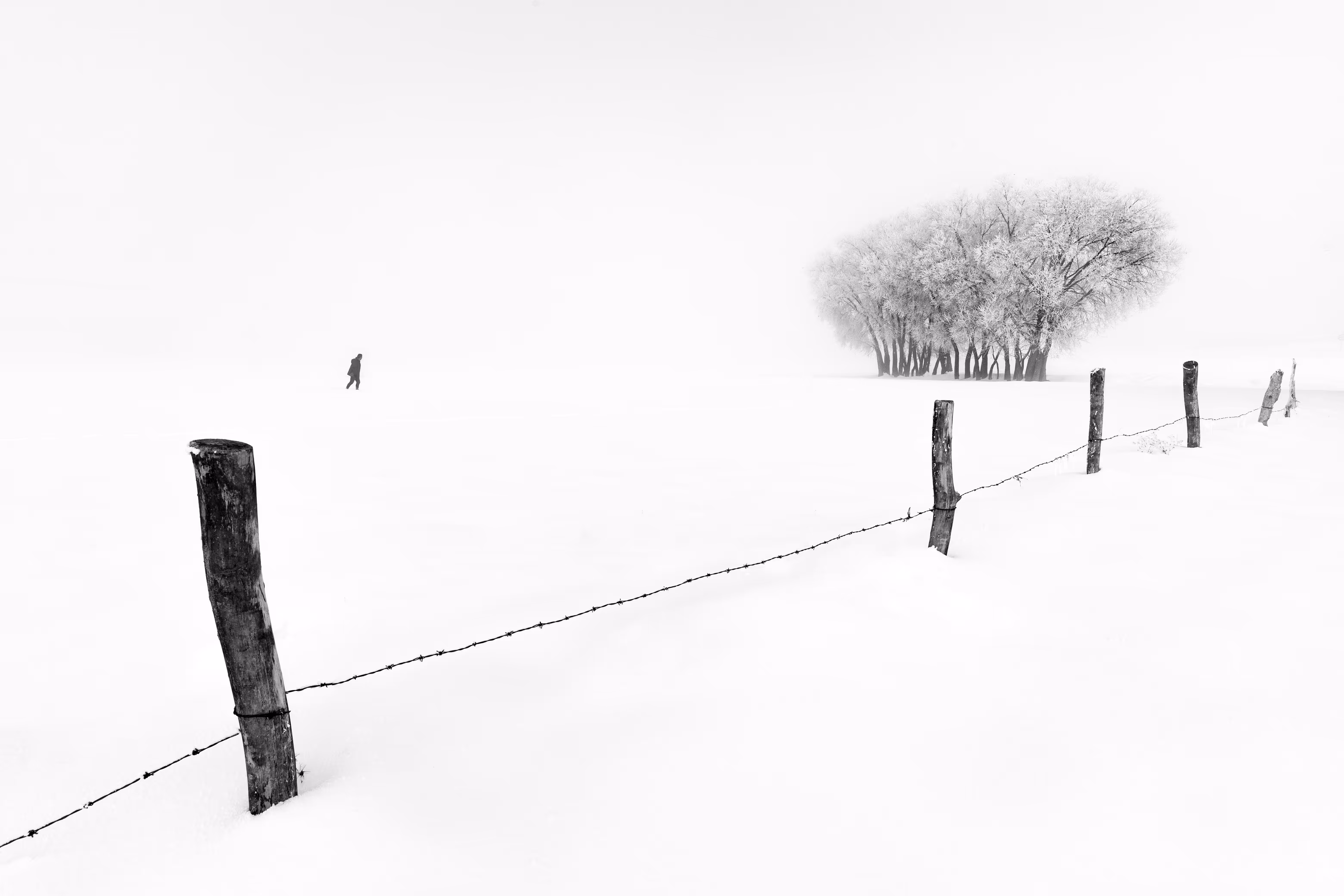 Snow #3
