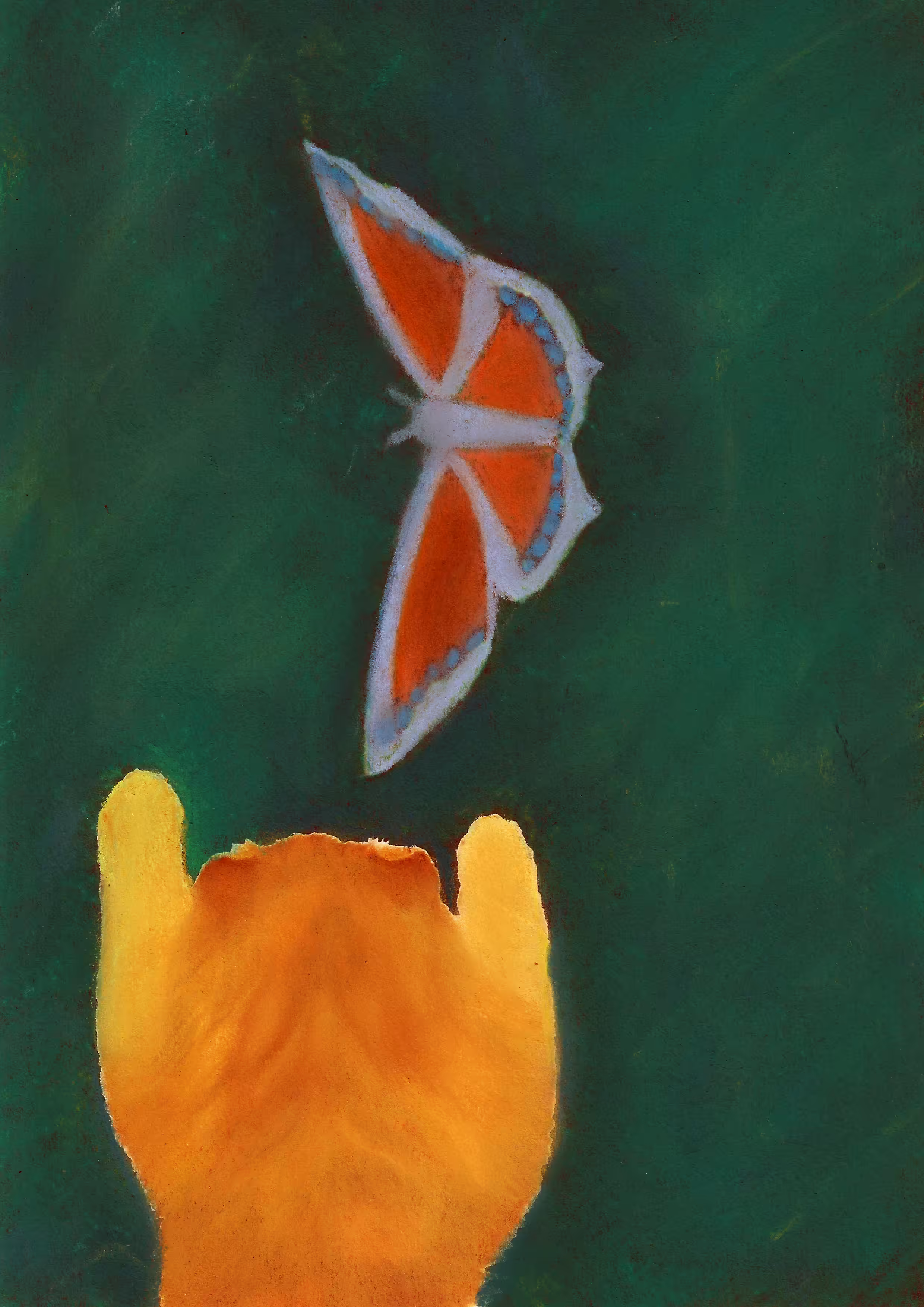 The butterfly on the wall 