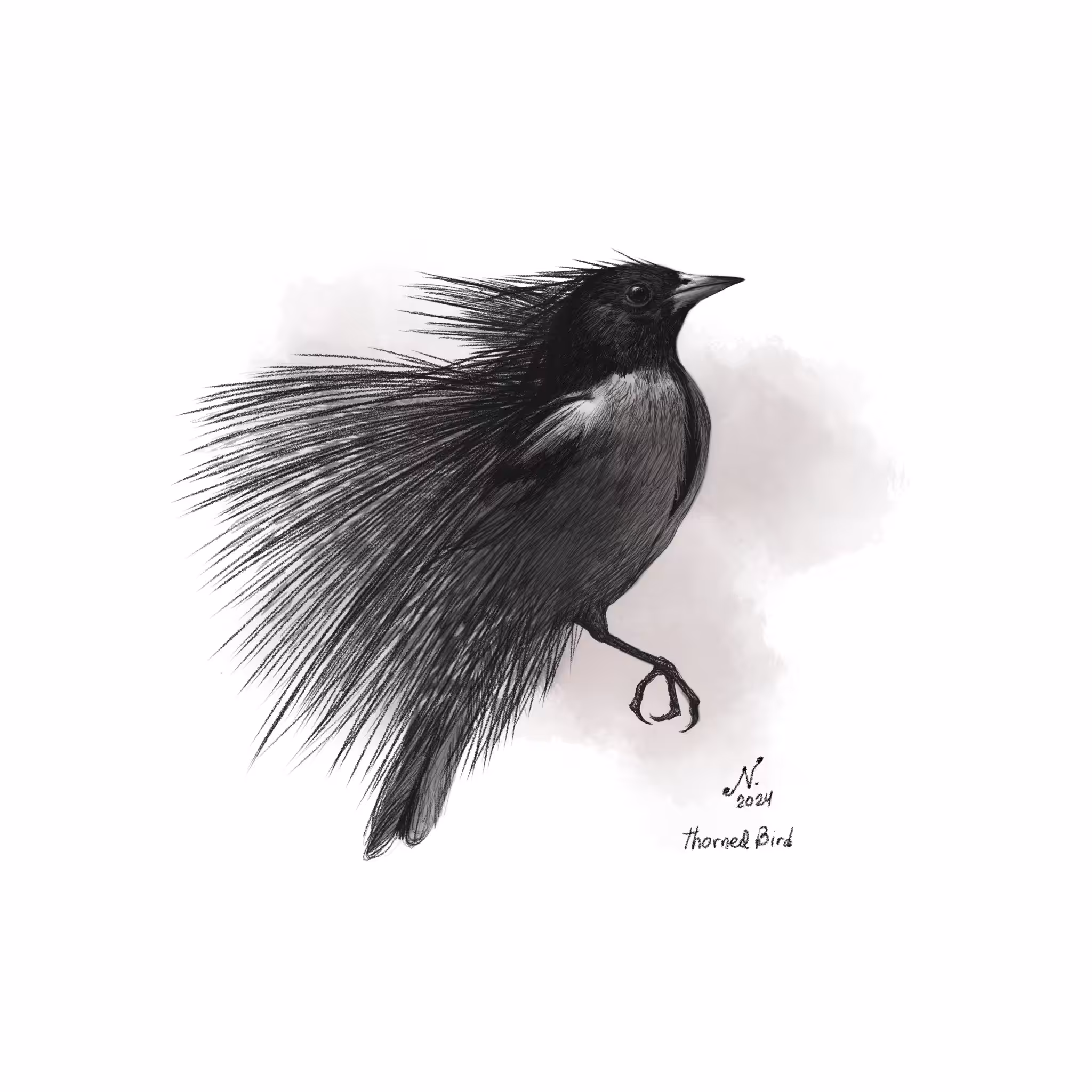 The Thorned bird