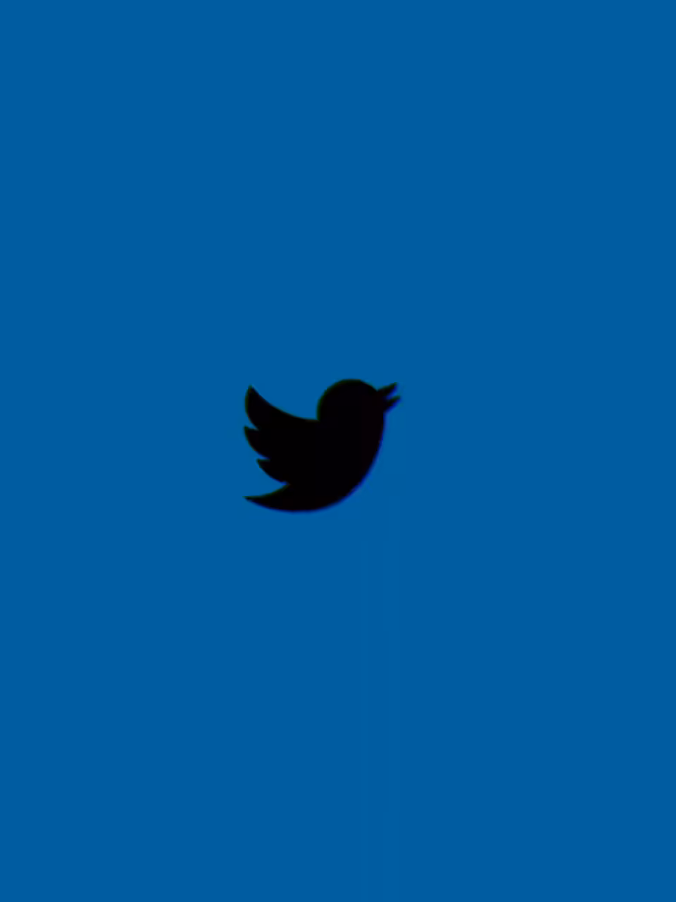 DEAD BIRDS