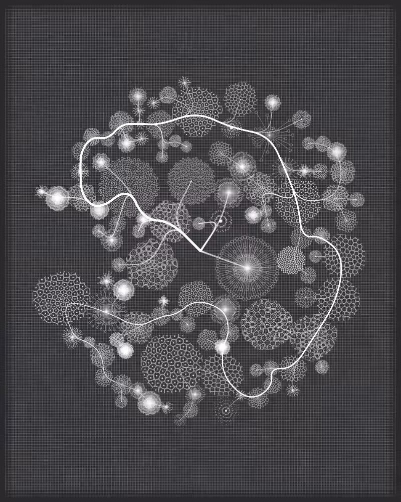Florilegium #141