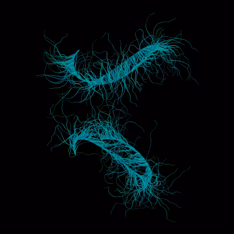 365 Tentacles #300