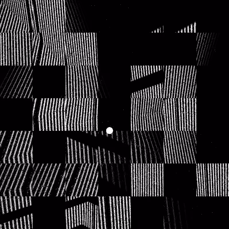 CARBON #5