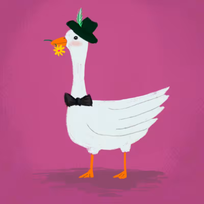Silly Goose #29