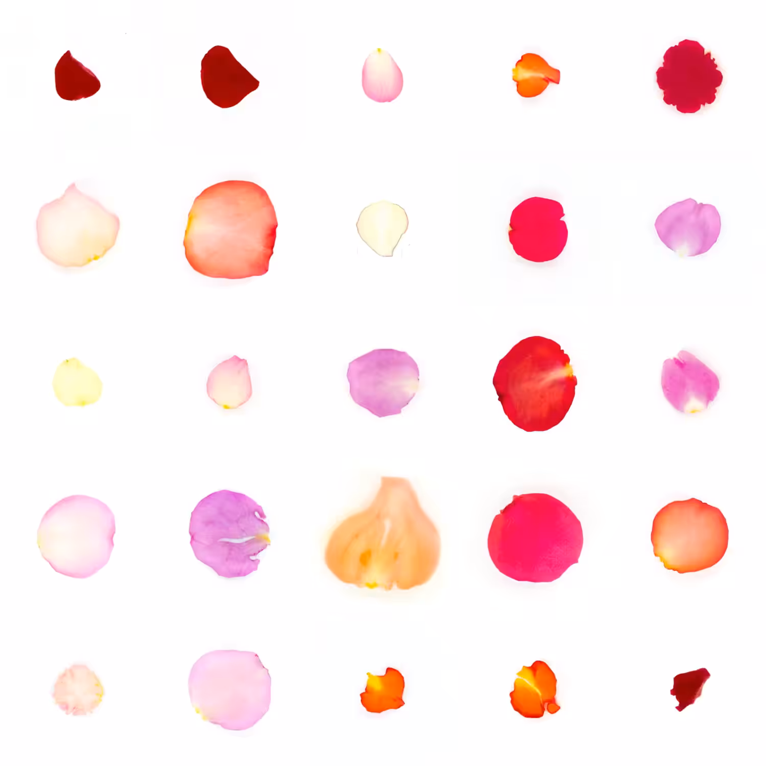 Infinite Petals 5x5#20454