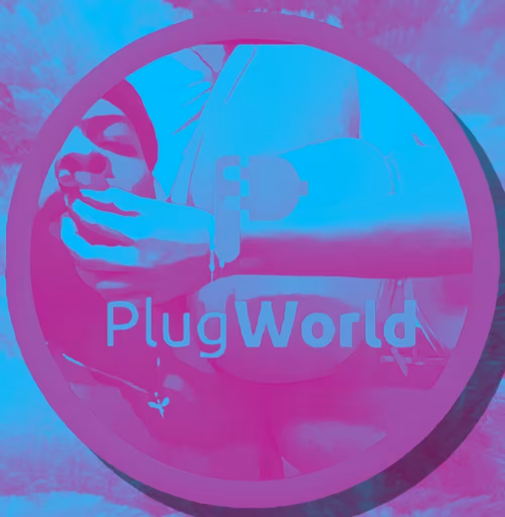 PlugLove #2