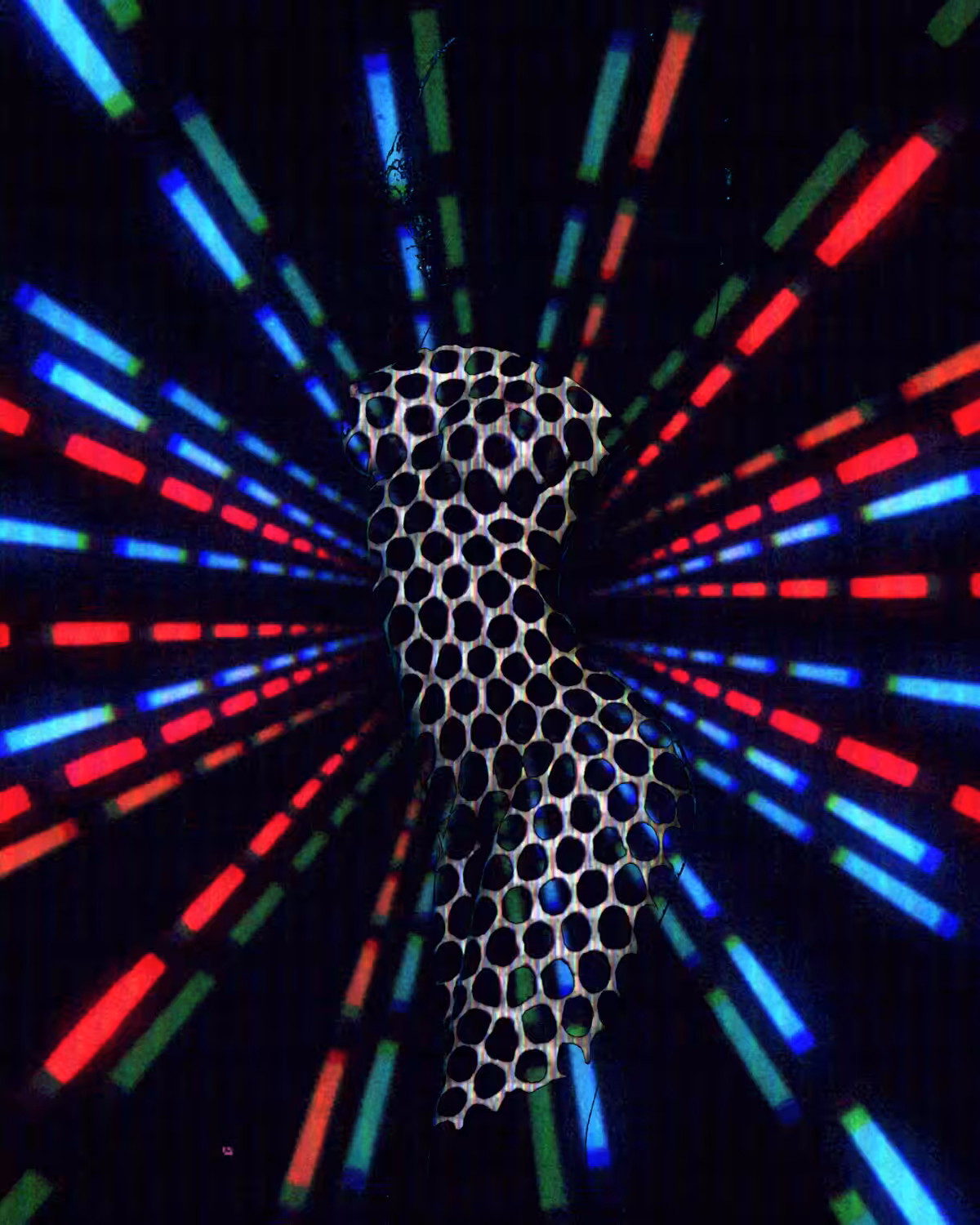 Nova