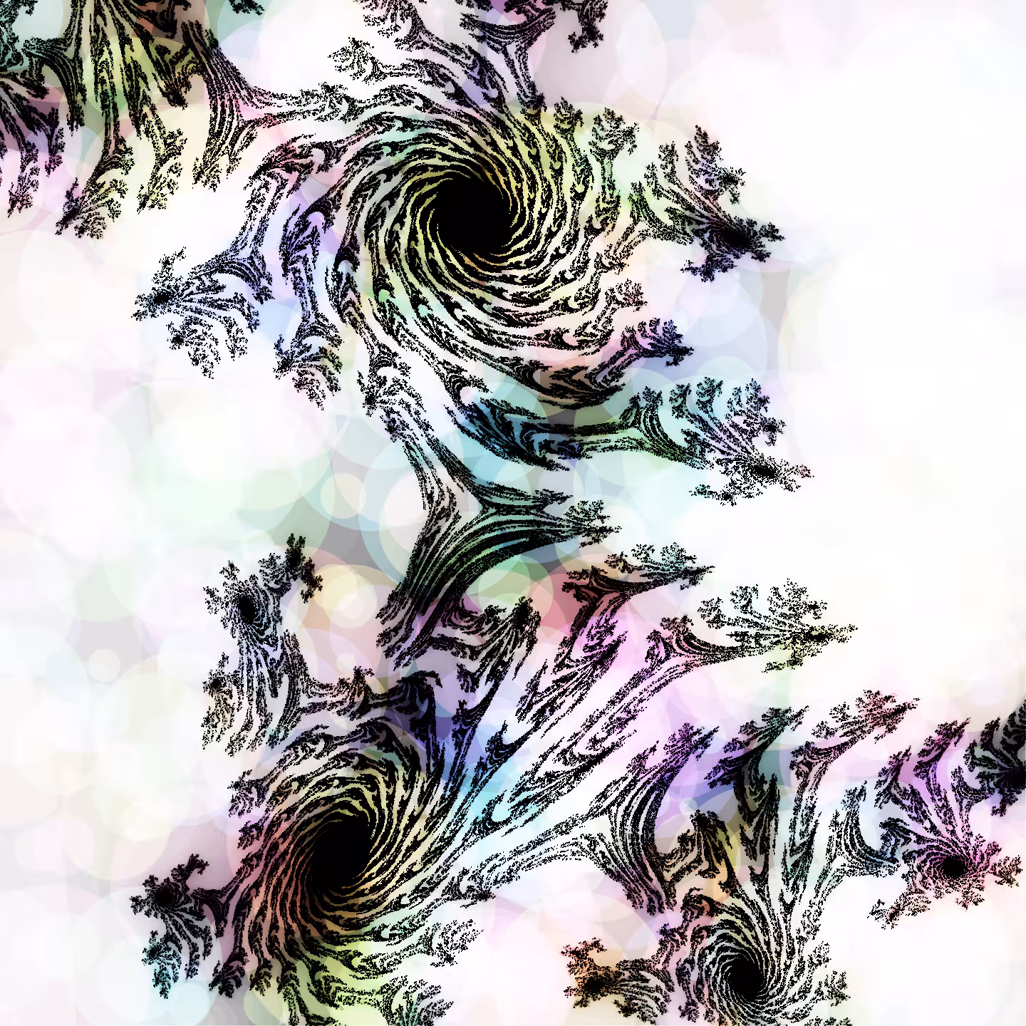 Seed 006