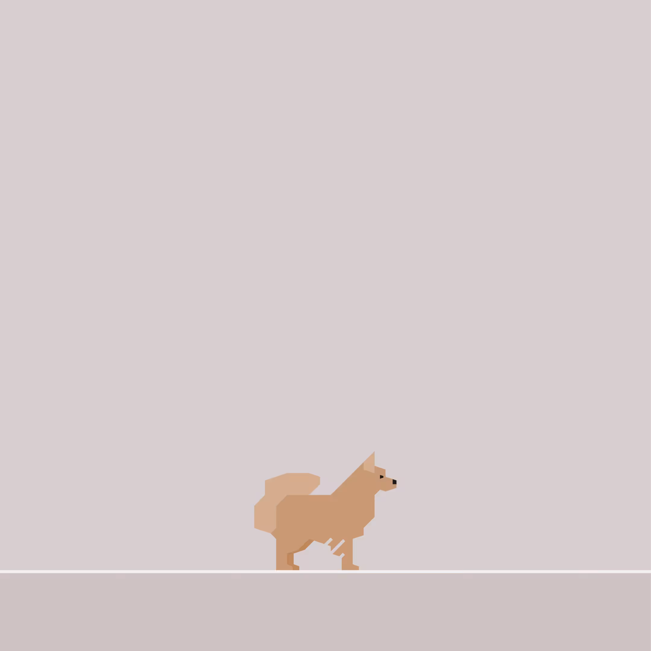 Pomeranian