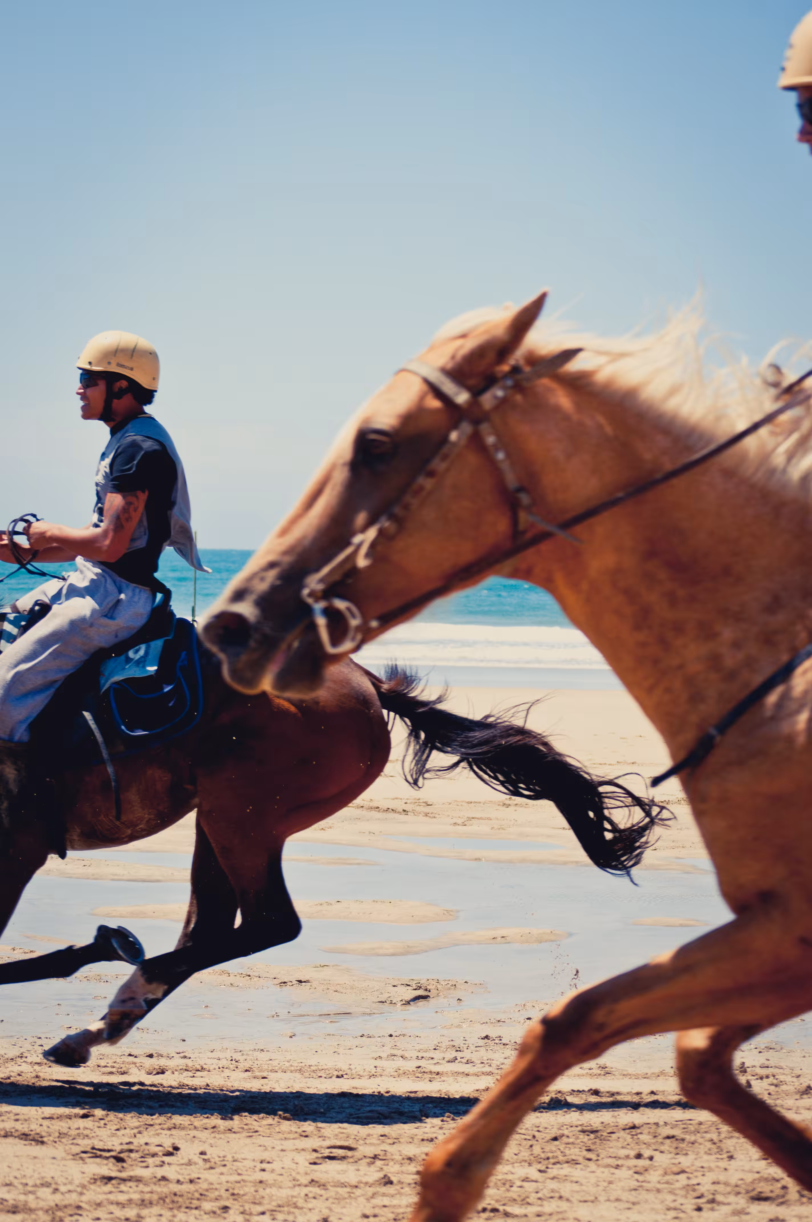 Kaiaua Beach Horse Races