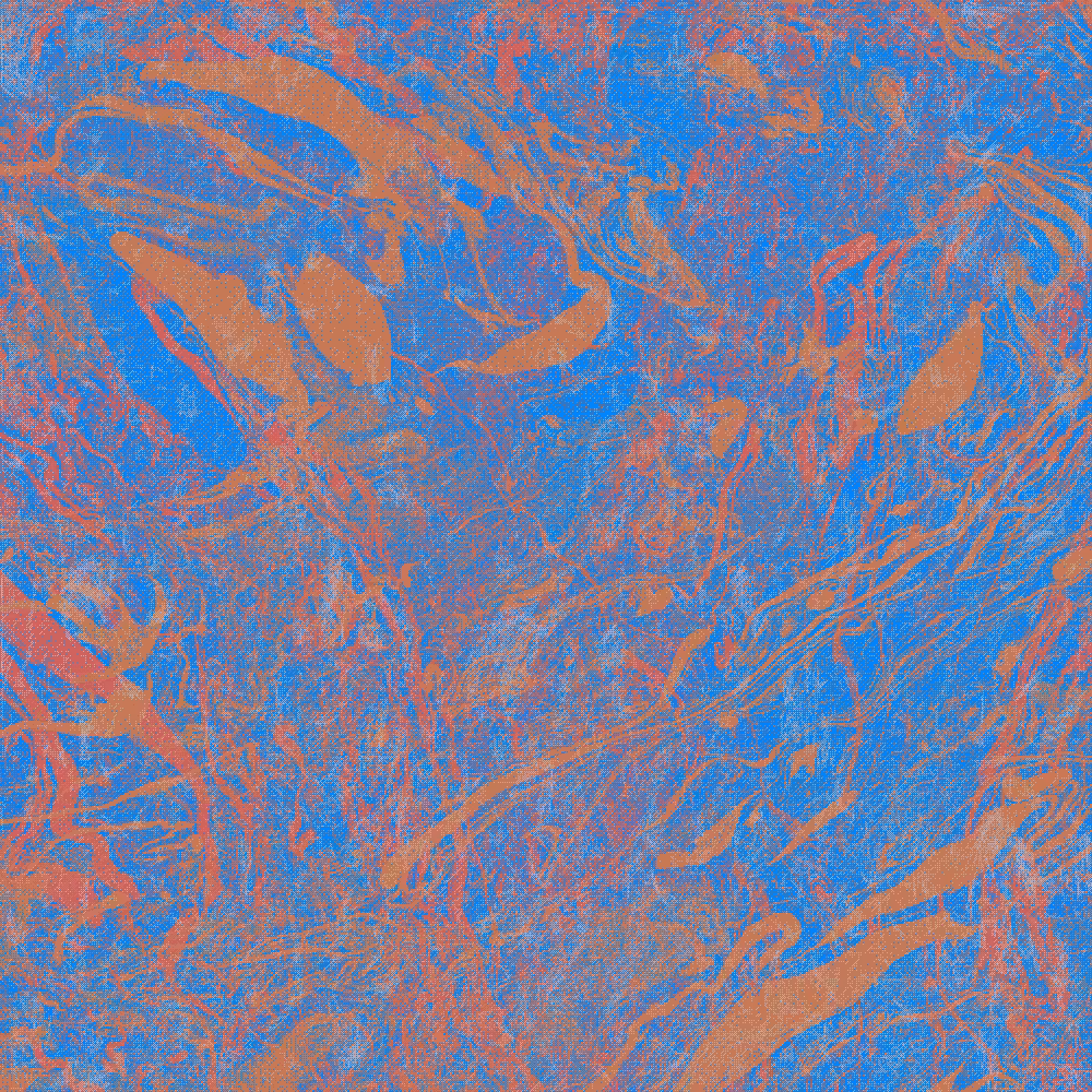 Seriscope Painting (2) #8