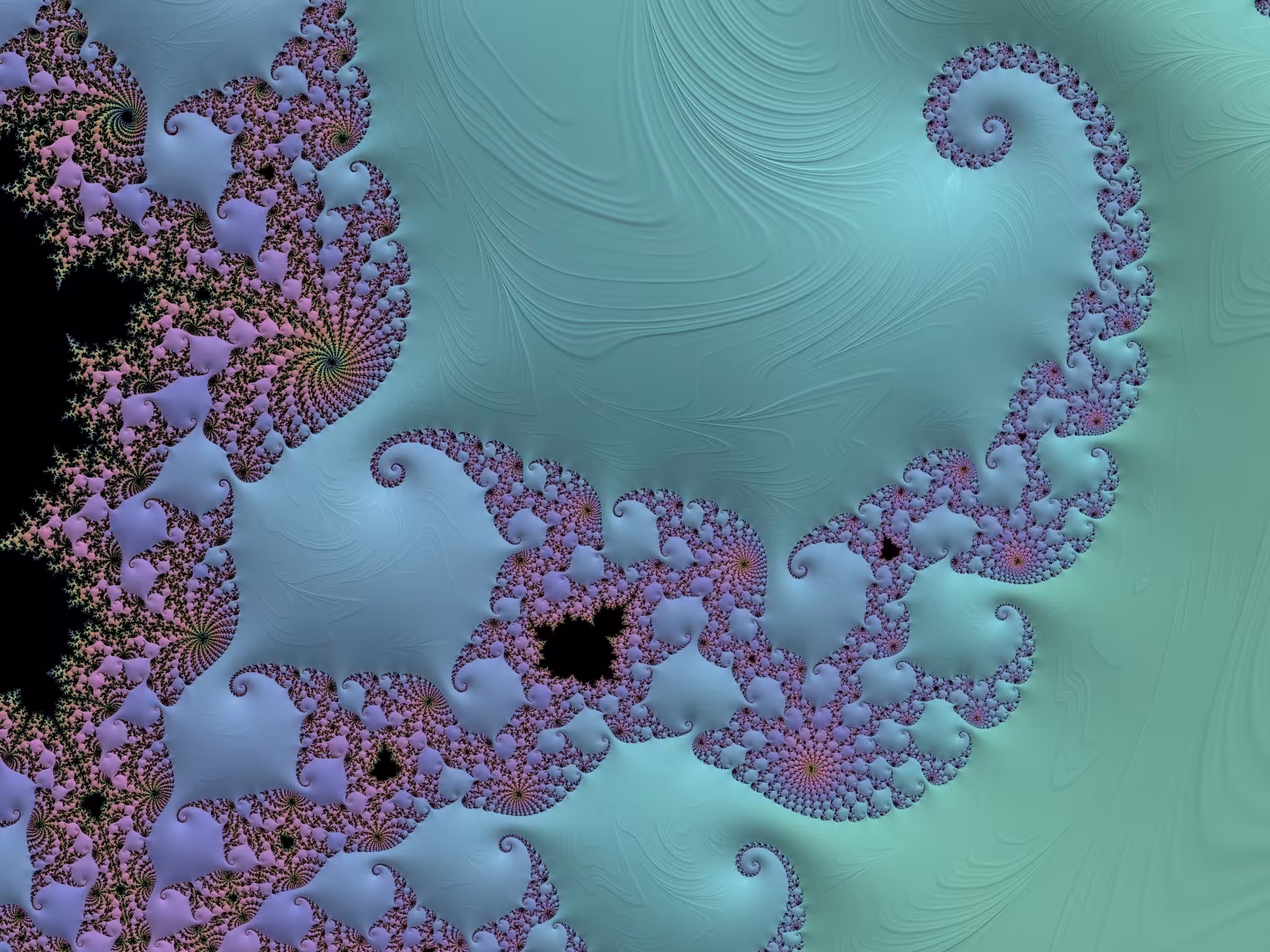 Fern