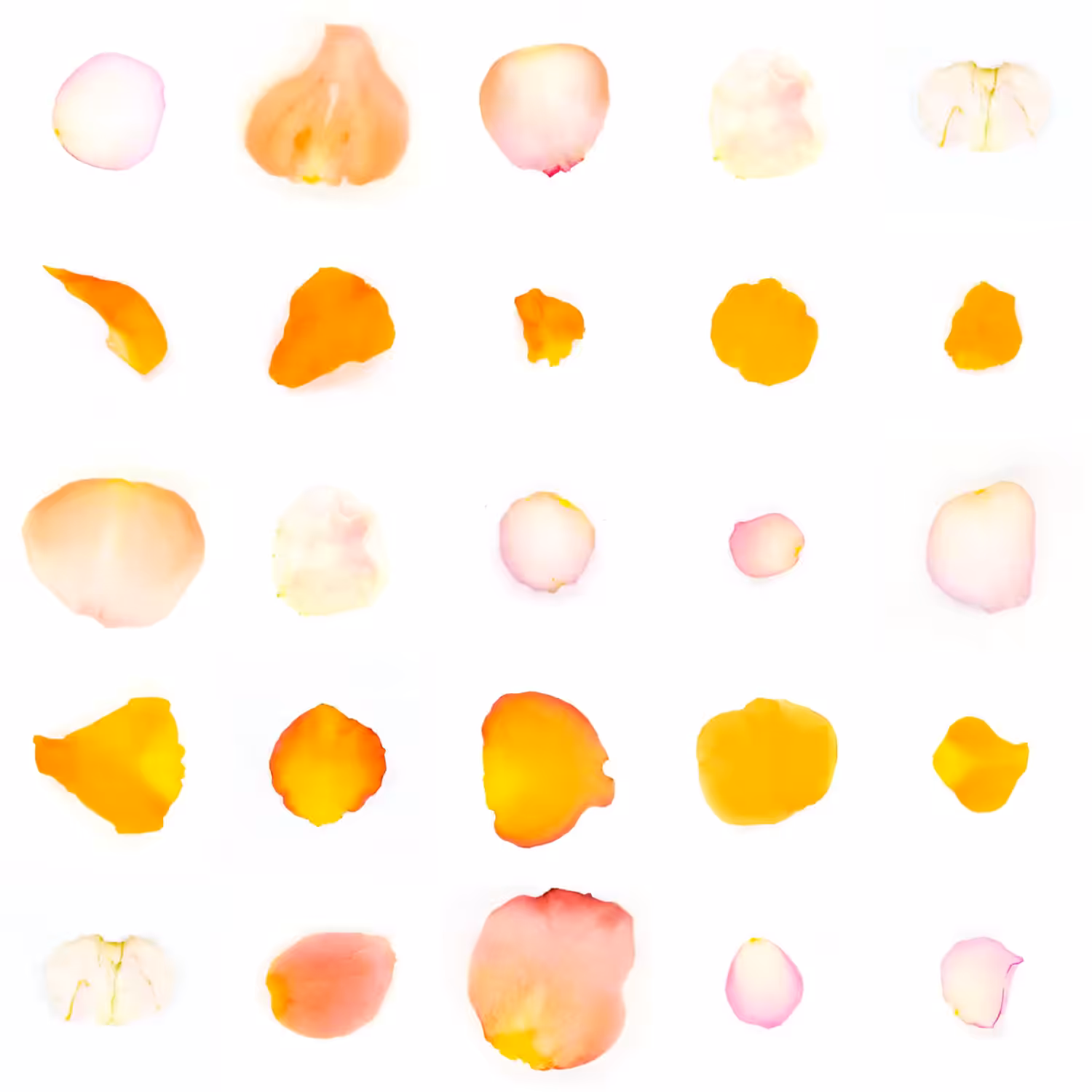 Infinite Petals 5x5#20945
