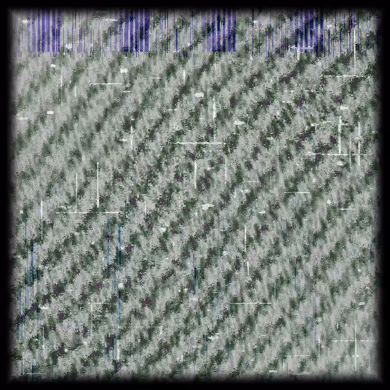 warp&weft3 #39