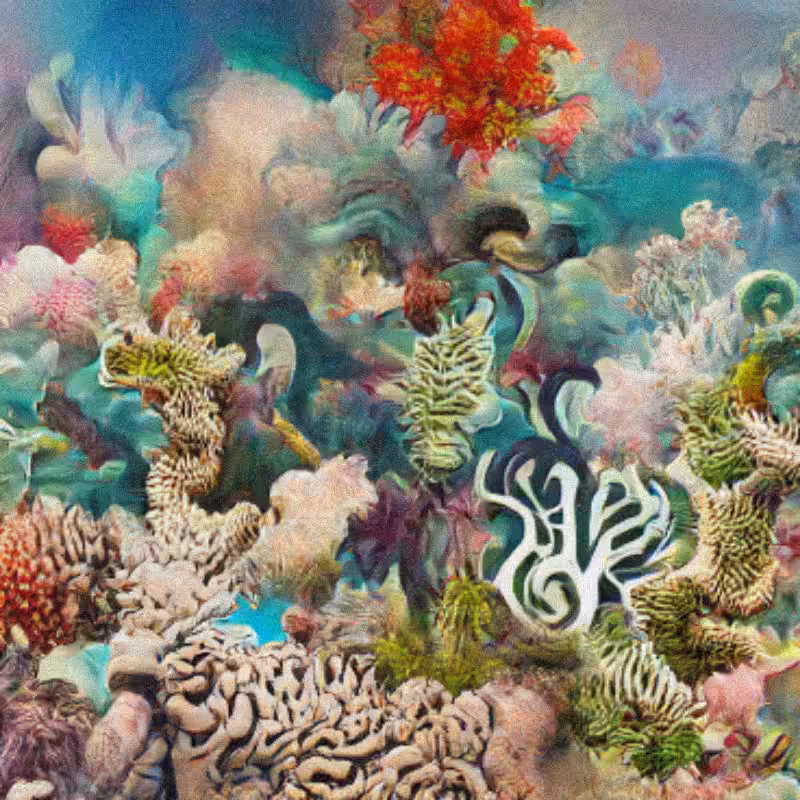 Reefs on Rewind #39