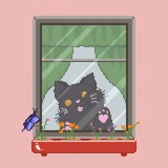 Window Catz #7