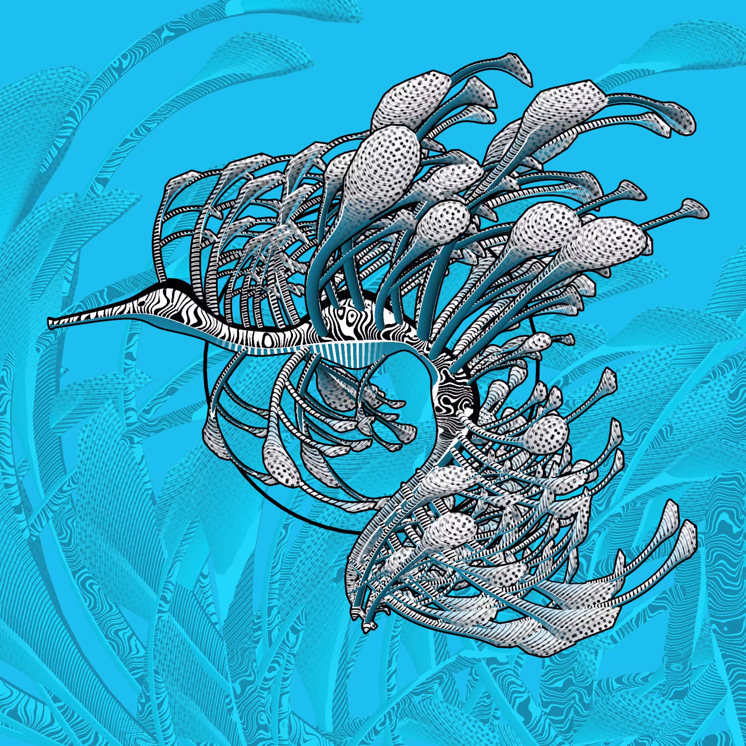 Seadragons #667