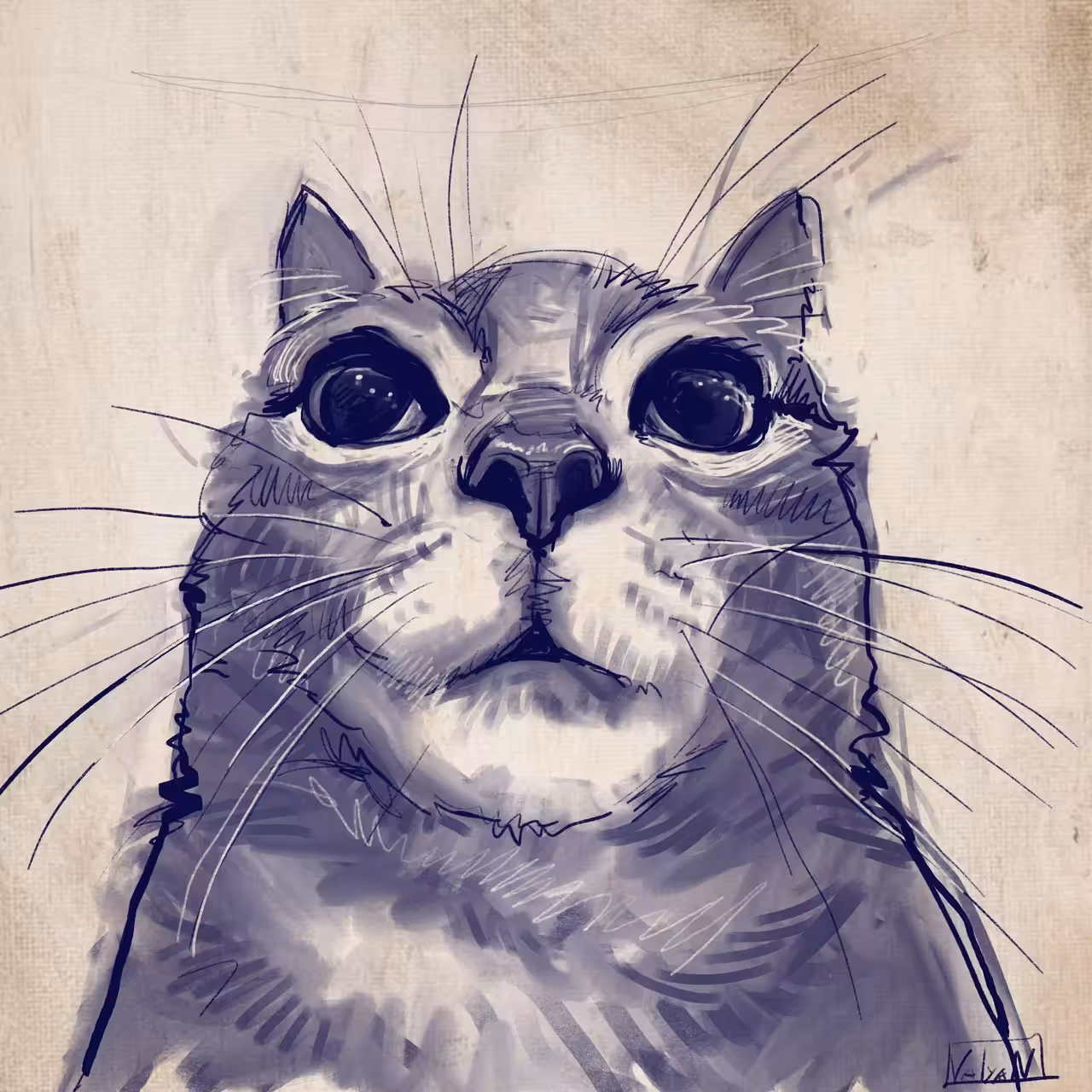 MEOW