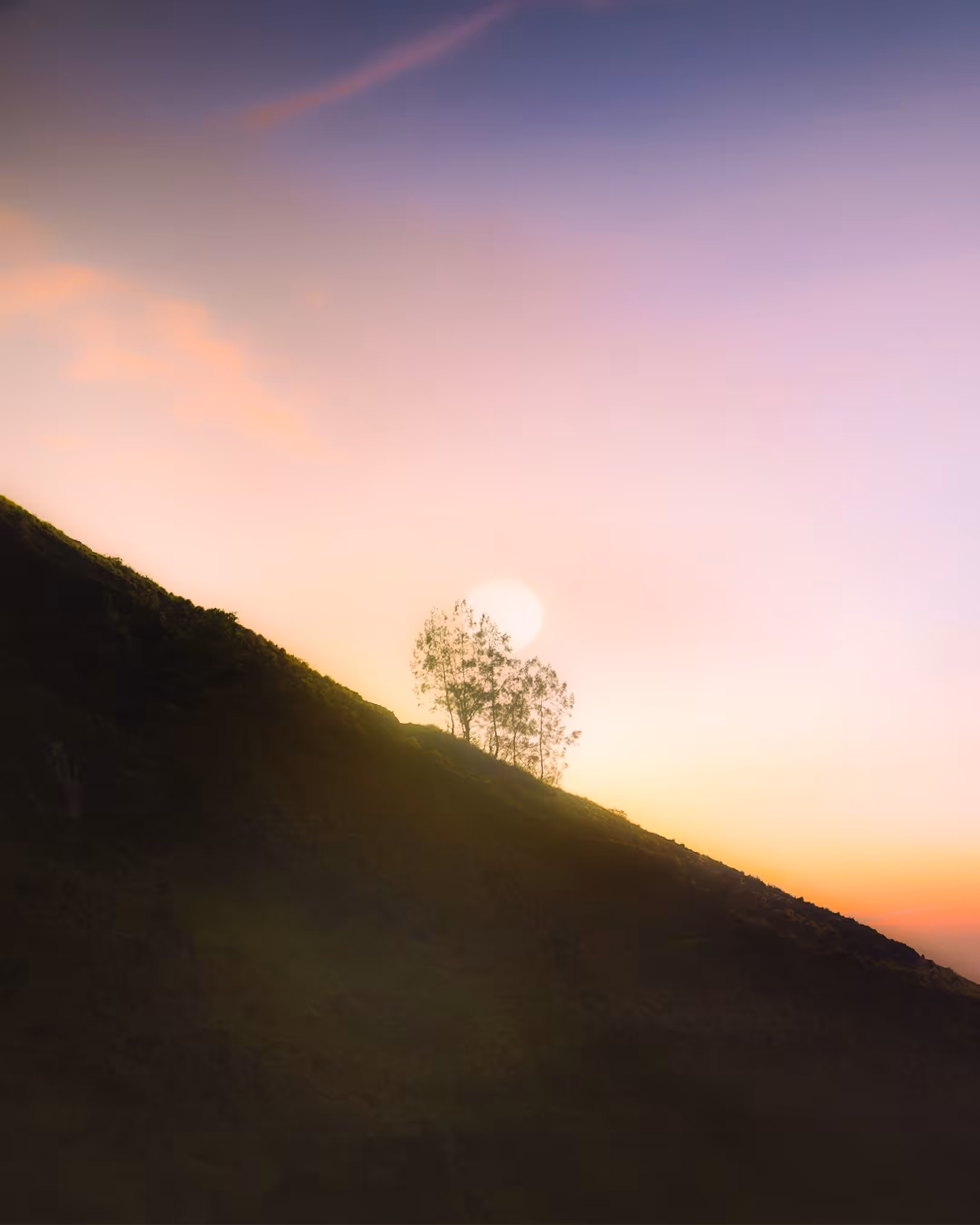 AP CURATED: Celestial Morning