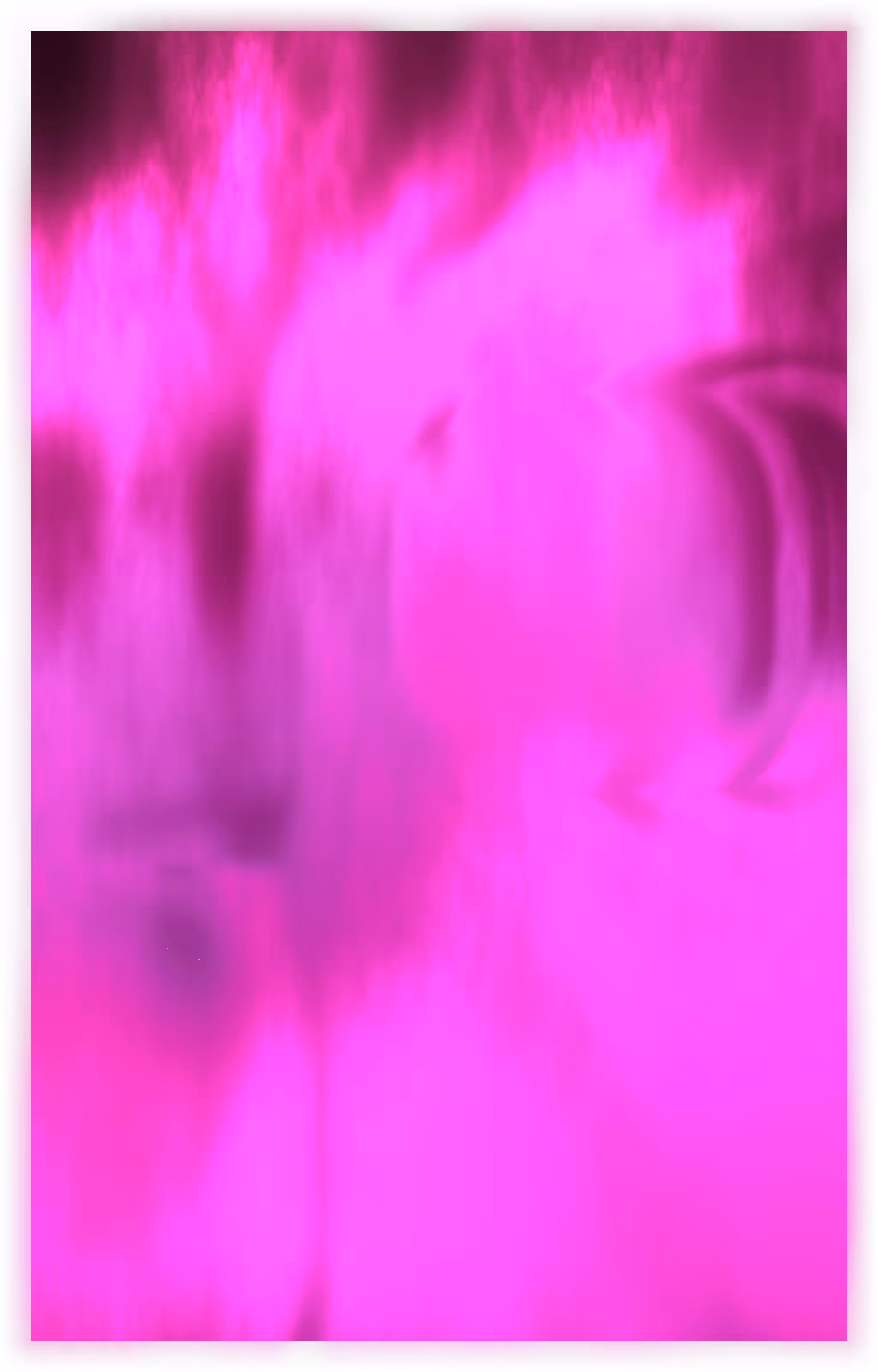 noise-master-wips-18121230
