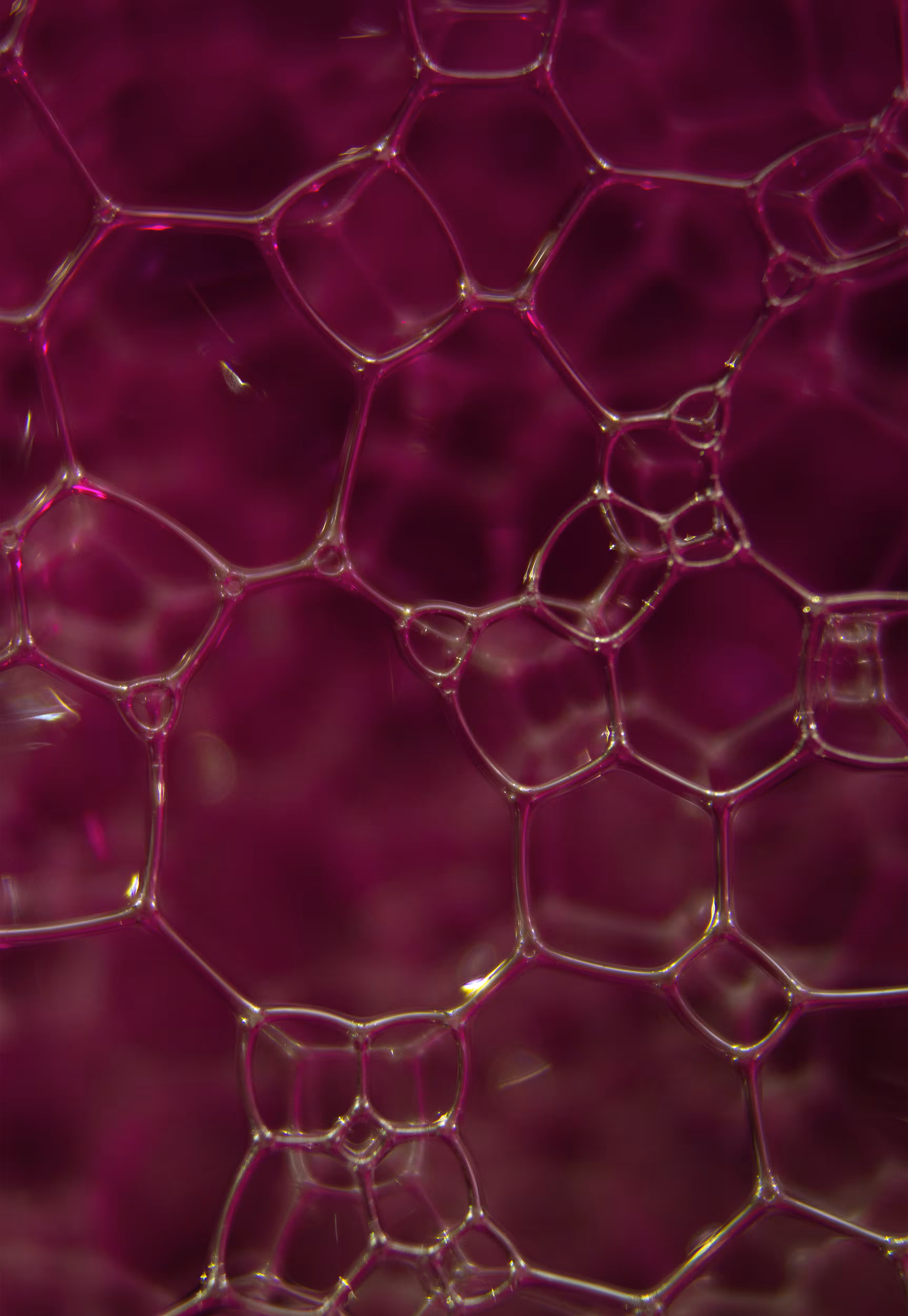 #212 Bubbles