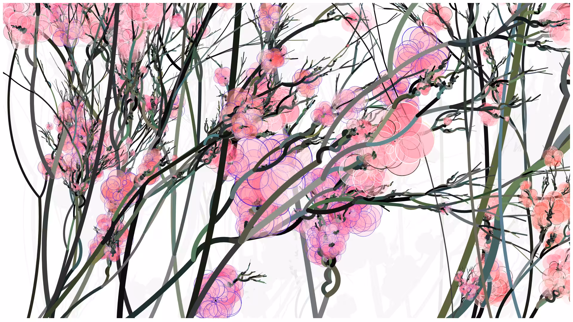 CODE-BLOSSOM #5