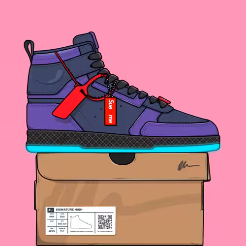 Signature Sneakers Highs #693