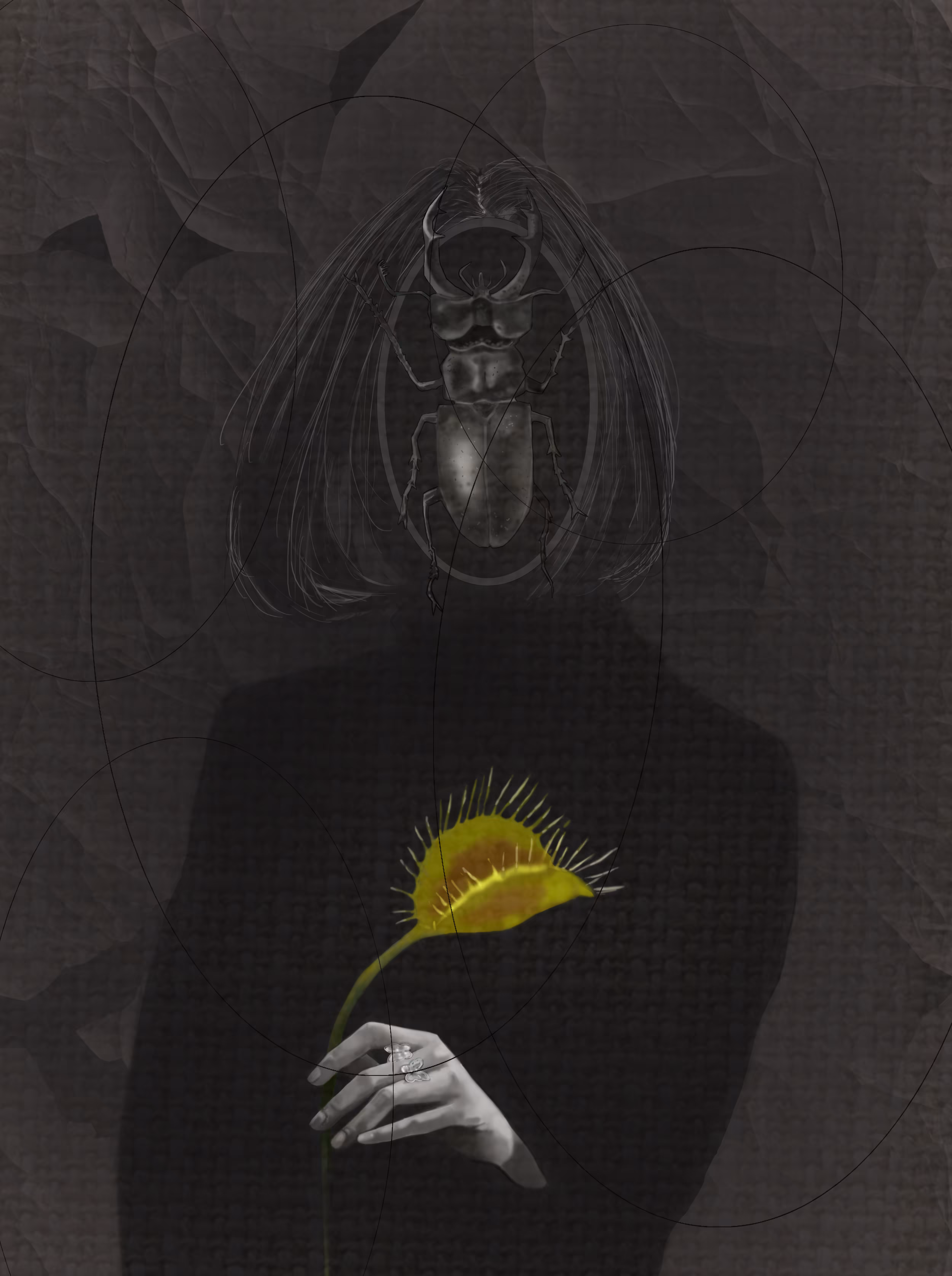The Veiled Intrigue