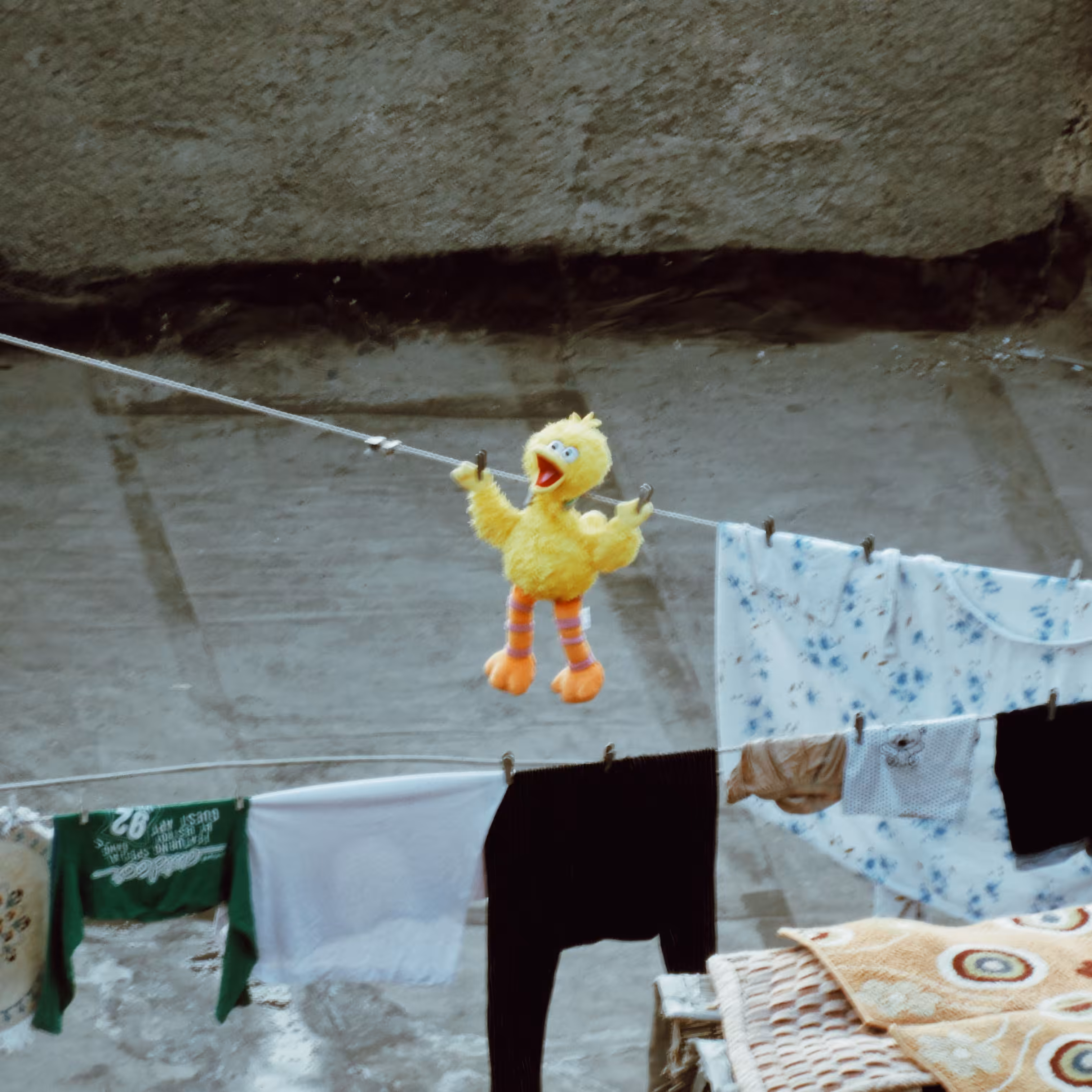 The Hanging Big Bird