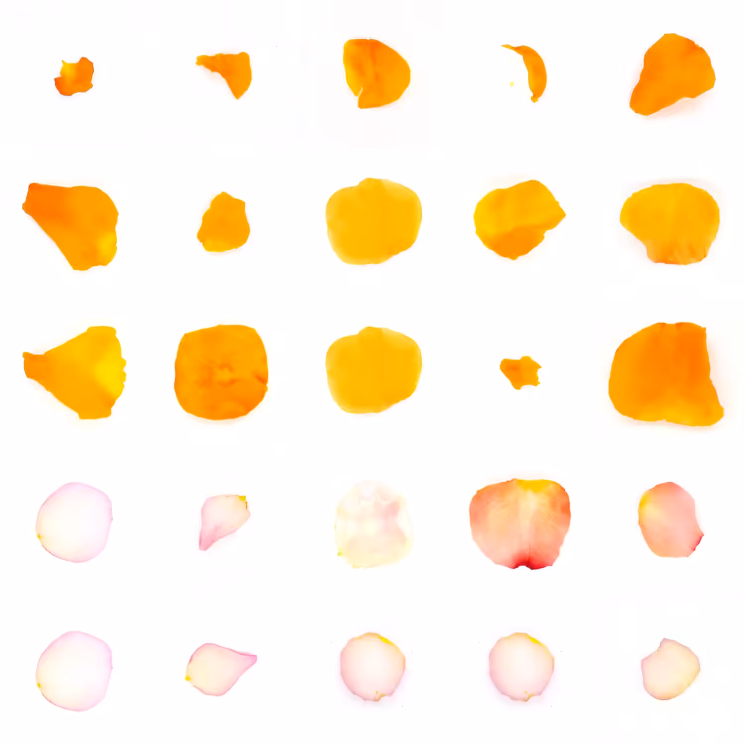 Infinite Petals 5x5#20193