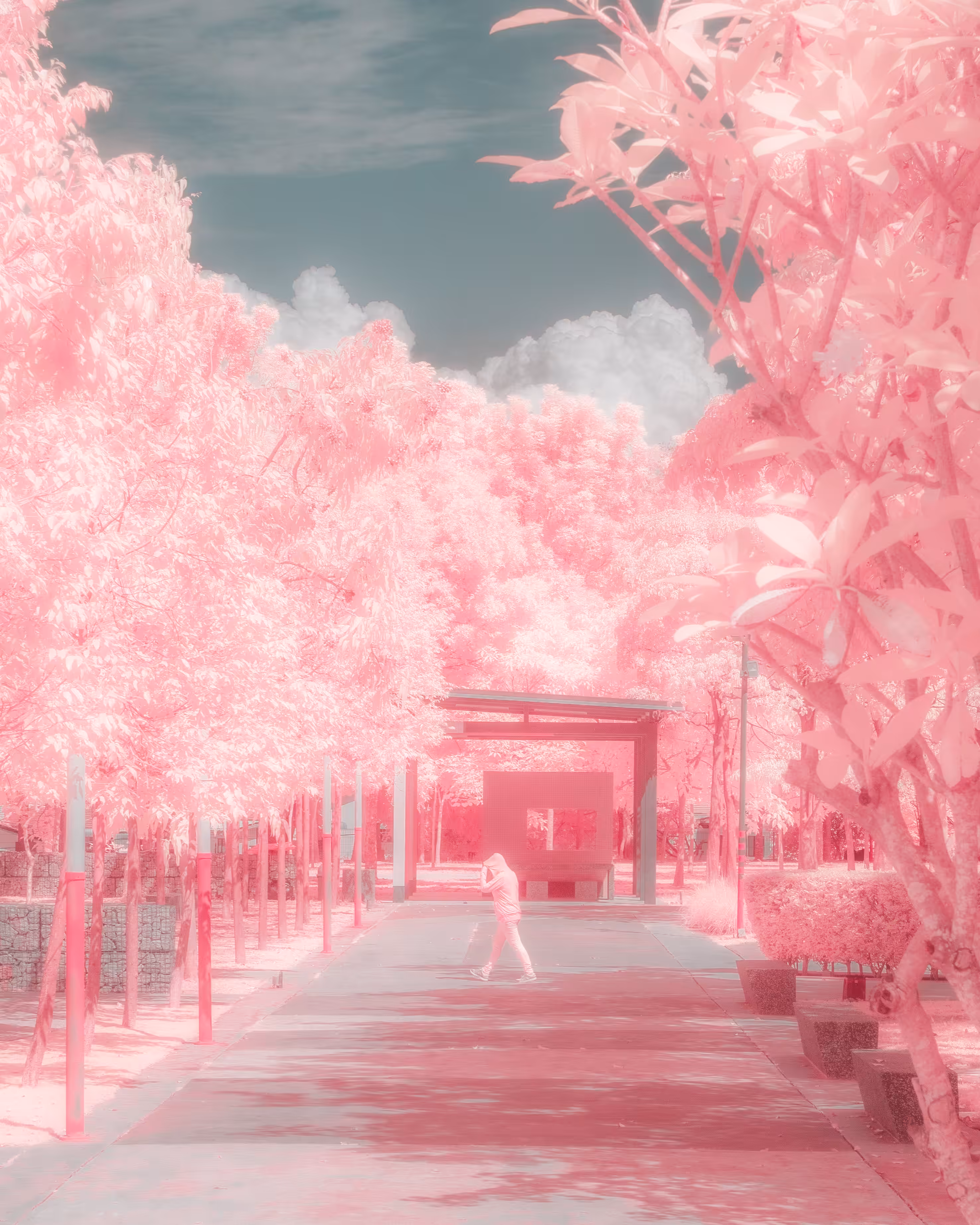 A Walk in the Park