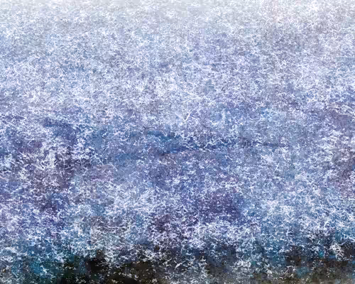 Lavender Dream