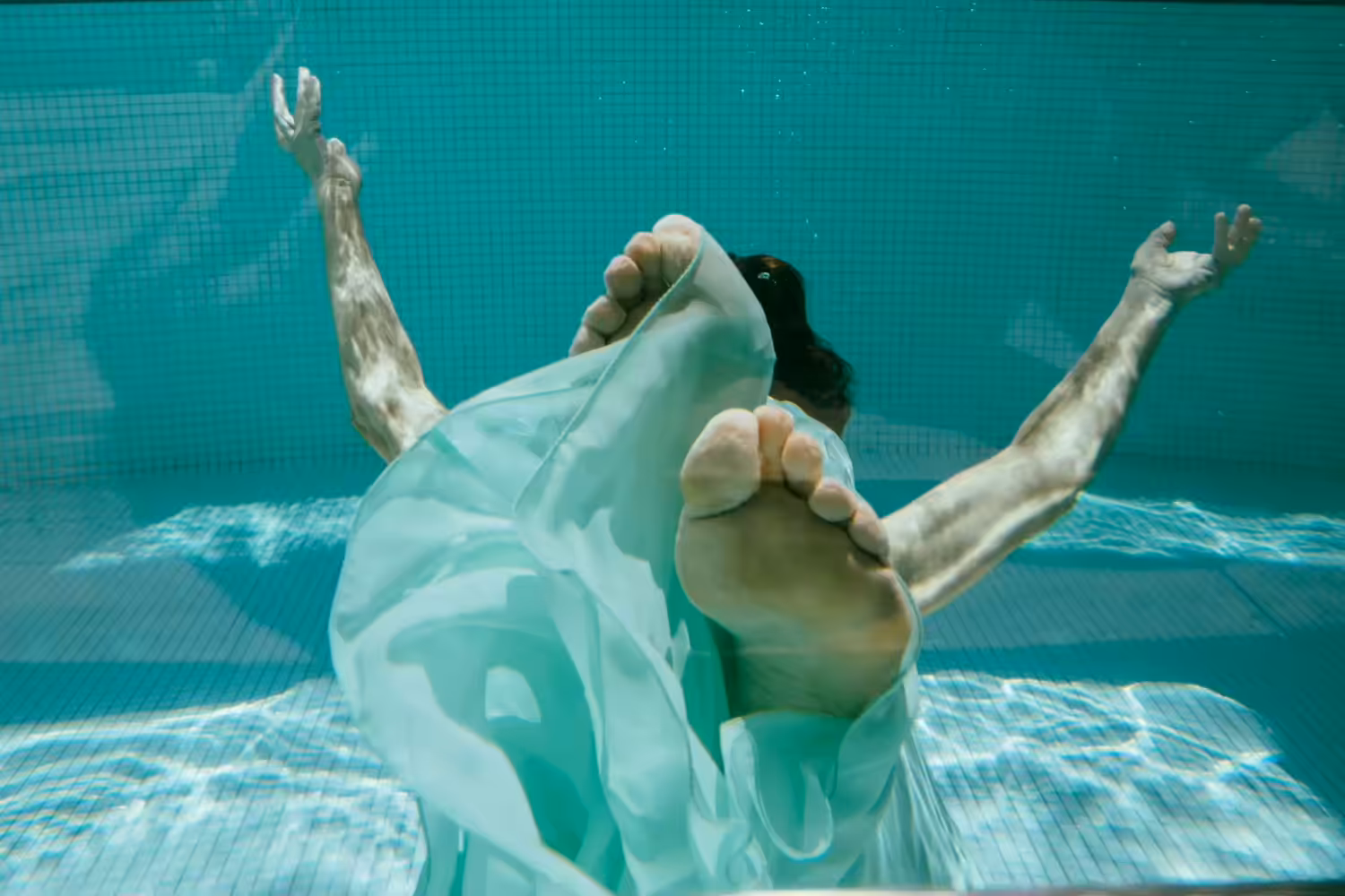 Narcissus IV