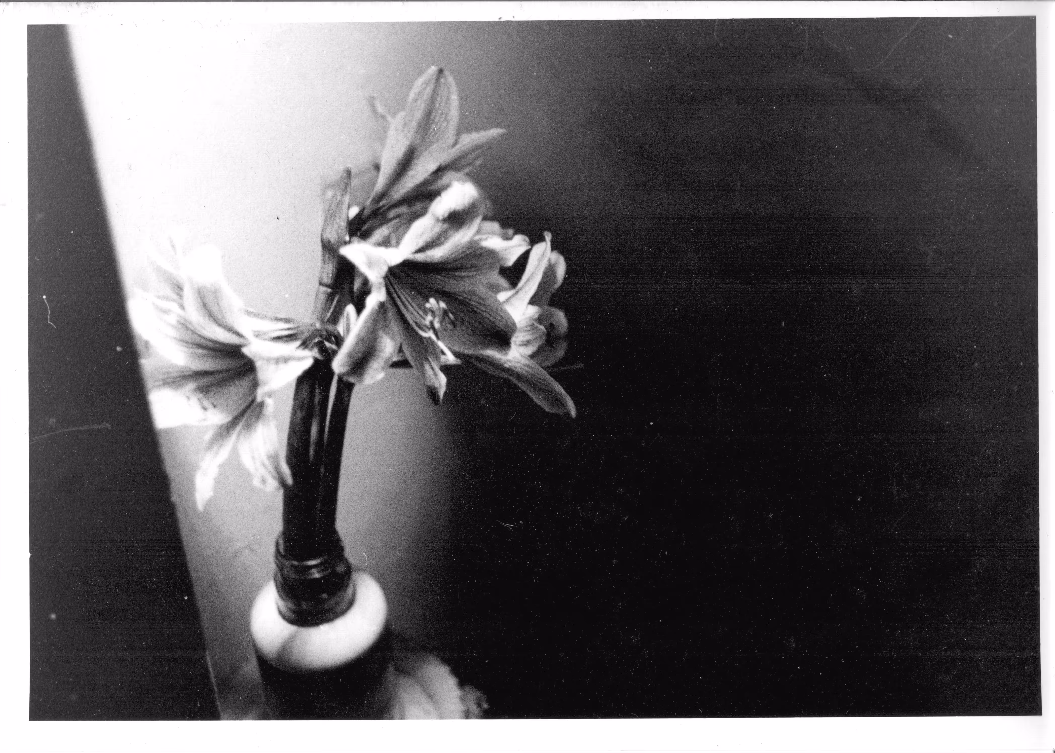 Darkroom practices #05