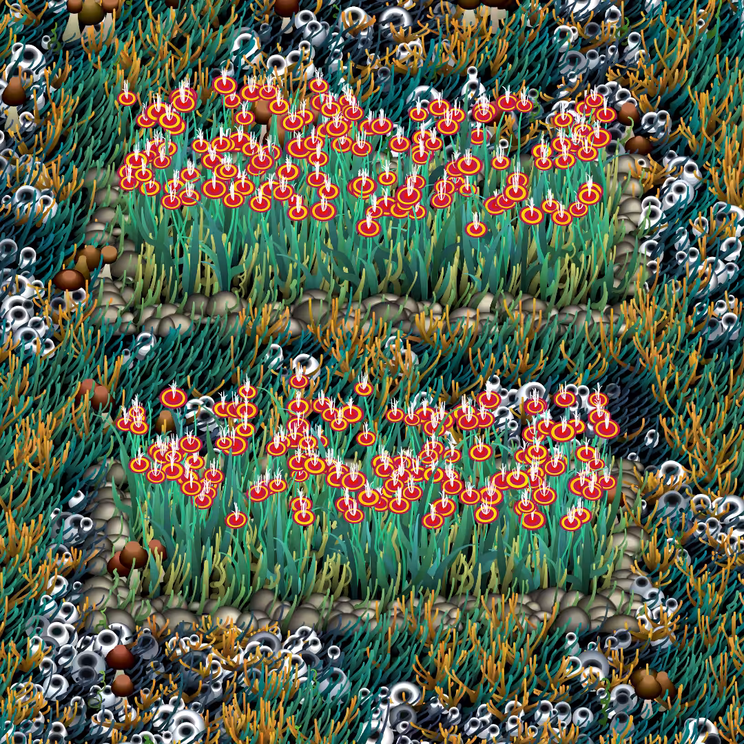 Noisy Gardens #58