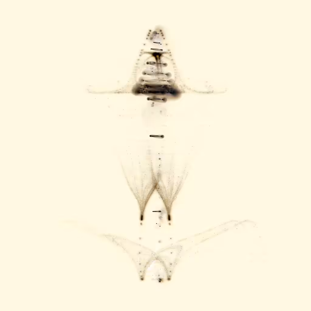Spectral Beings: Spectral Being 178