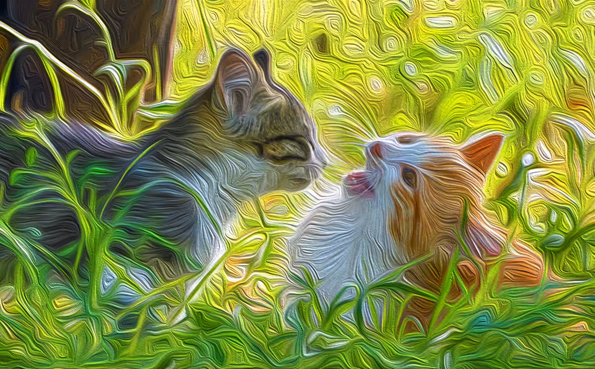 Cats