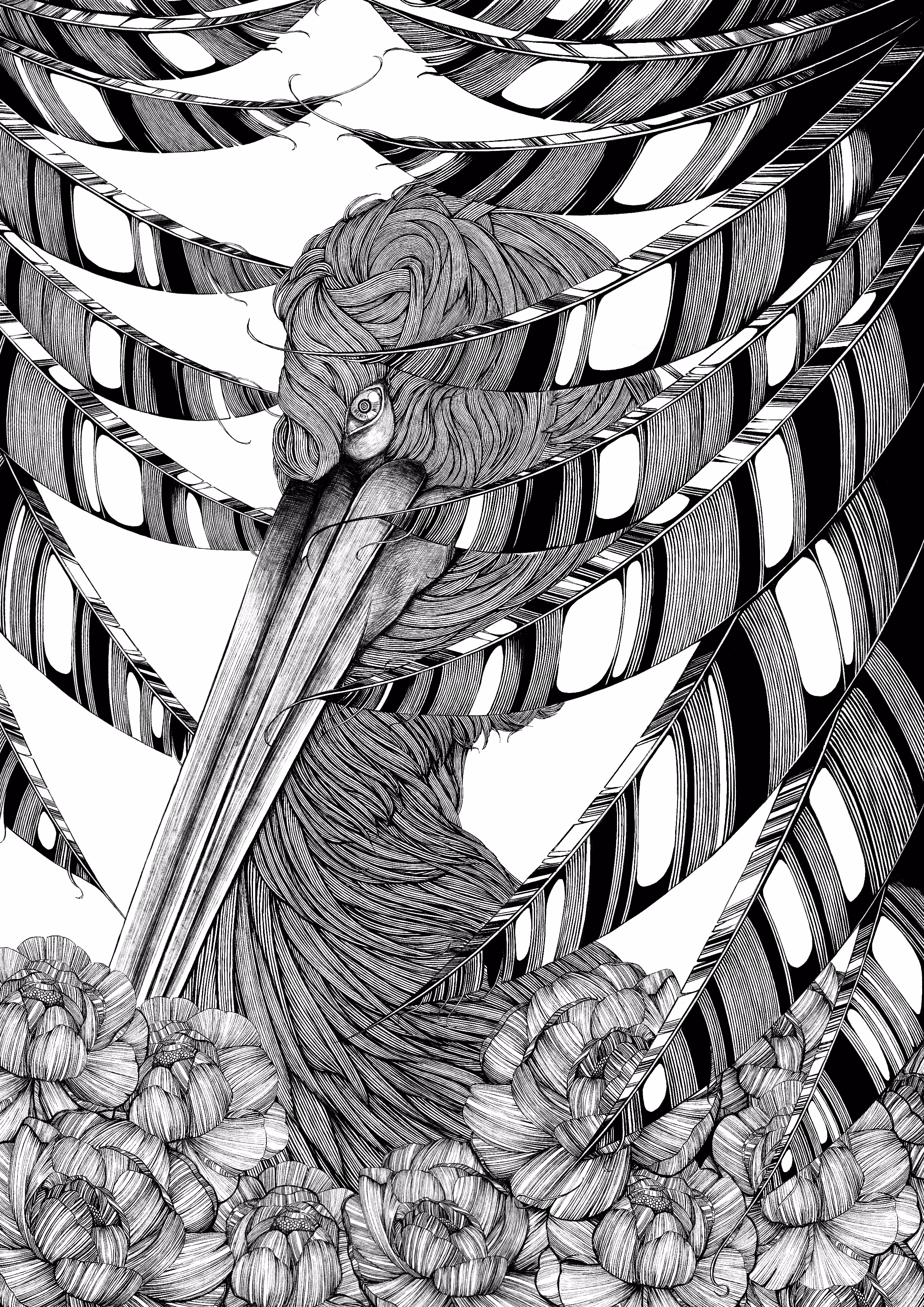 Pelican【線画】